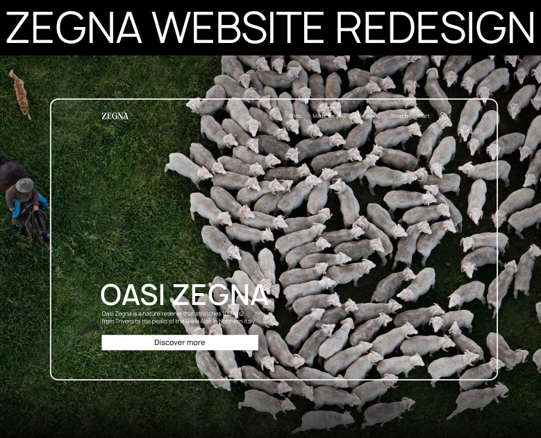 Ermenegildo Zegna: редизайн сайта-бутика — Интерфейсы, Брендинг на Dprofile