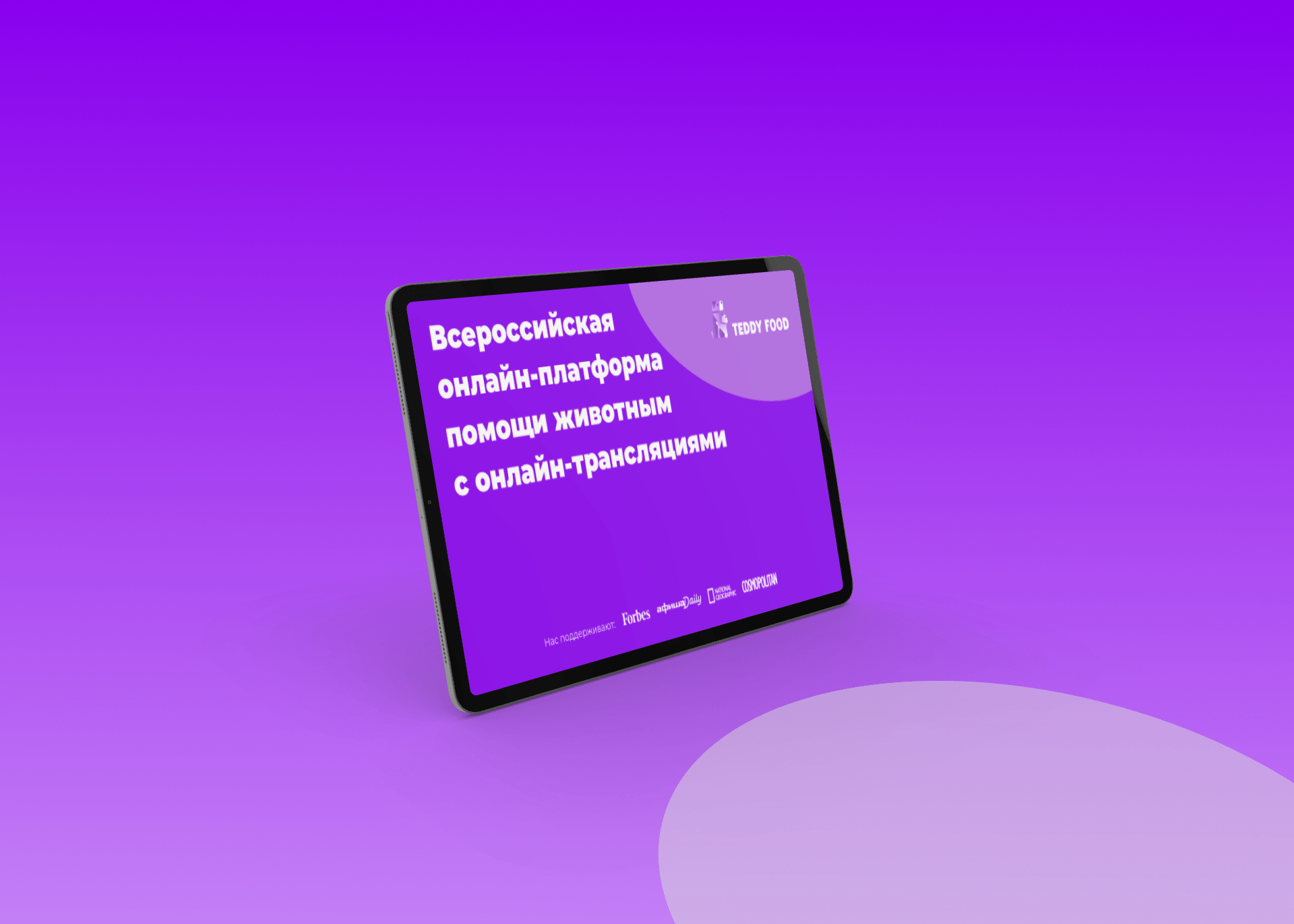 Редизайн презентации для приюта — Изображение №4 — Брендинг, Маркетинг на Dprofile