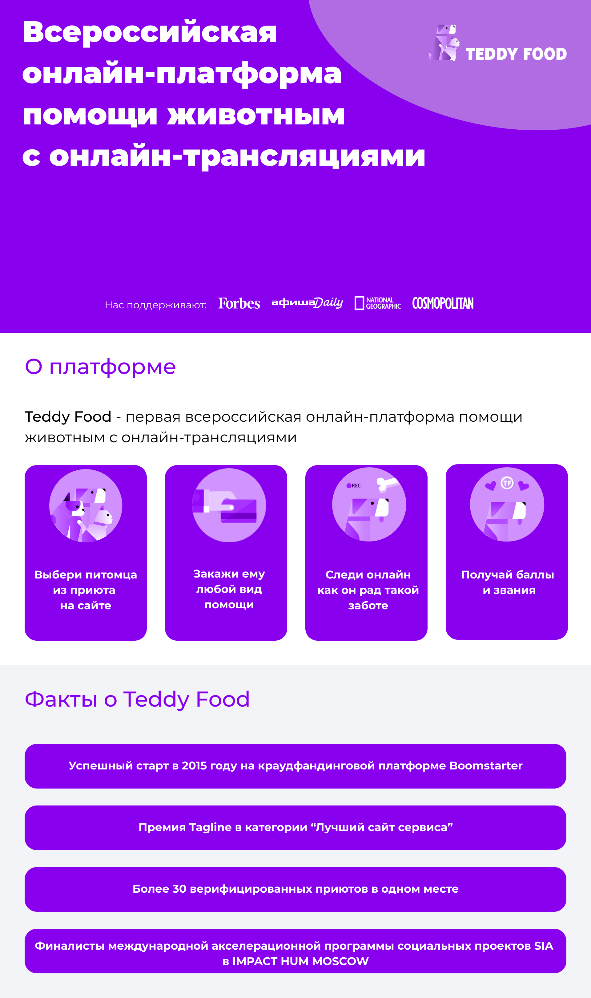 Редизайн презентации для приюта — Изображение №5 — Брендинг, Маркетинг на Dprofile