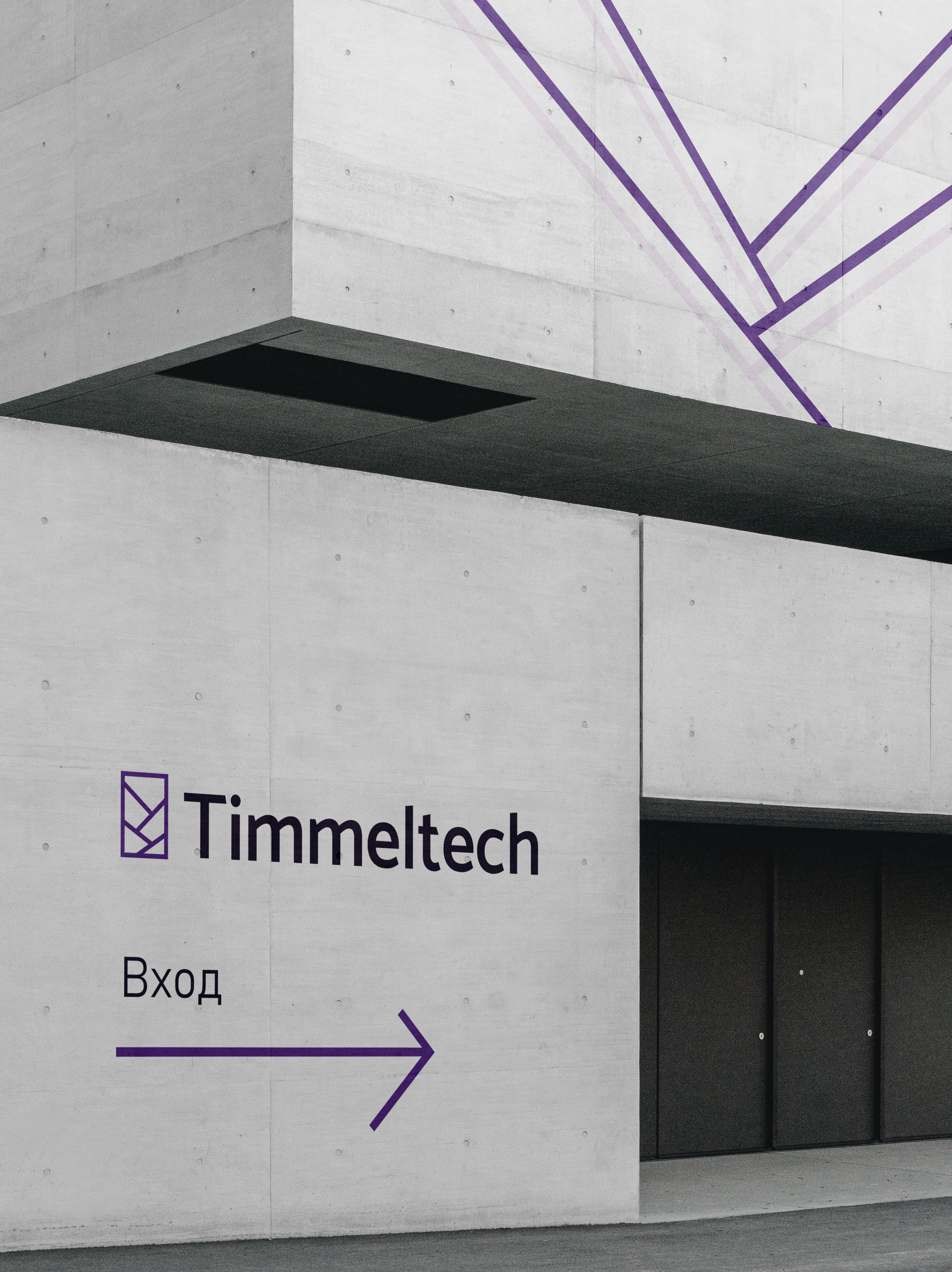 Логотип для Timmeltech — Изображение №4 — Брендинг на Dprofile