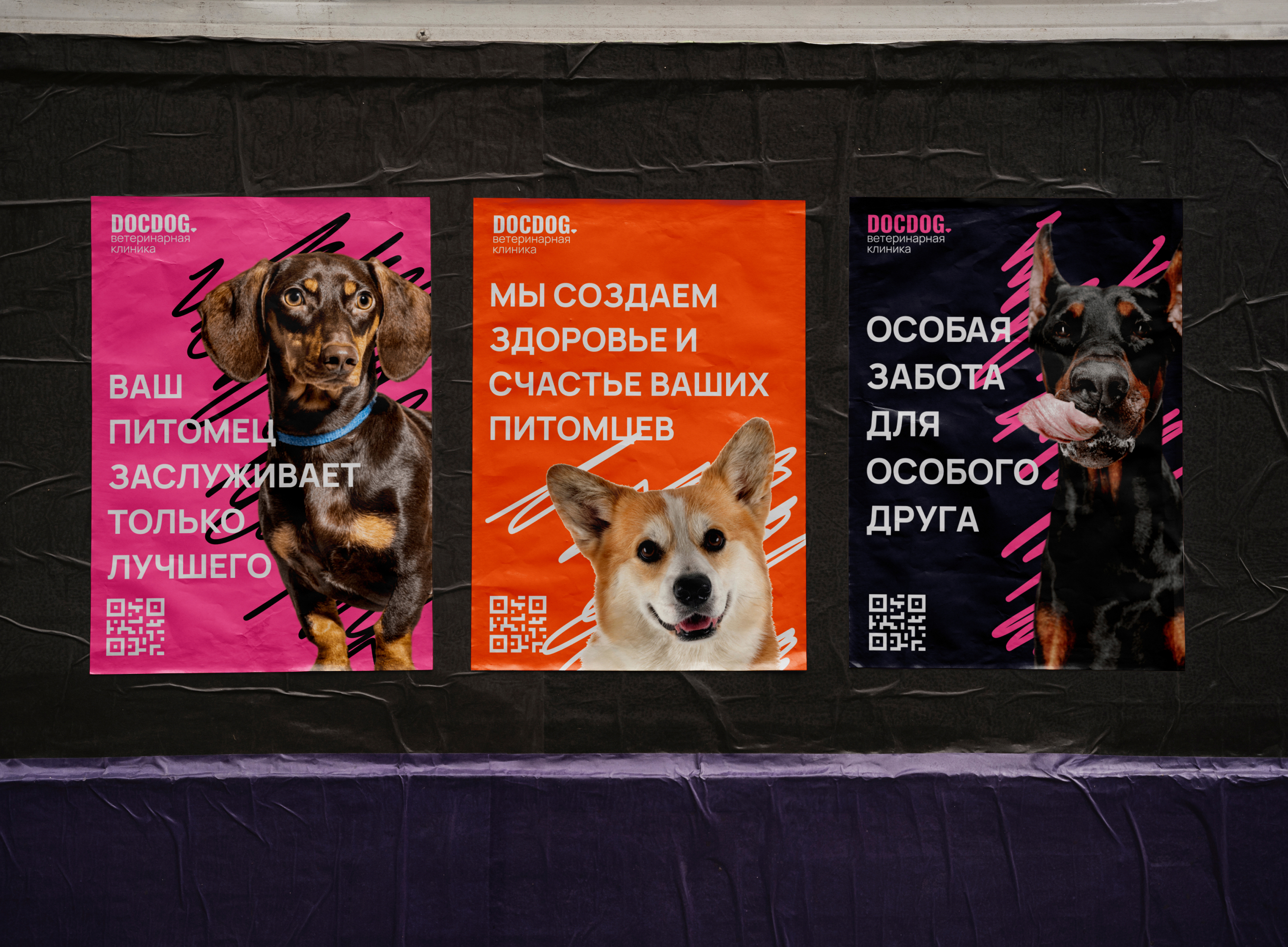 docdog. ветеринарная клиника премиум-класса — Изображение №2 — Брендинг на Dprofile