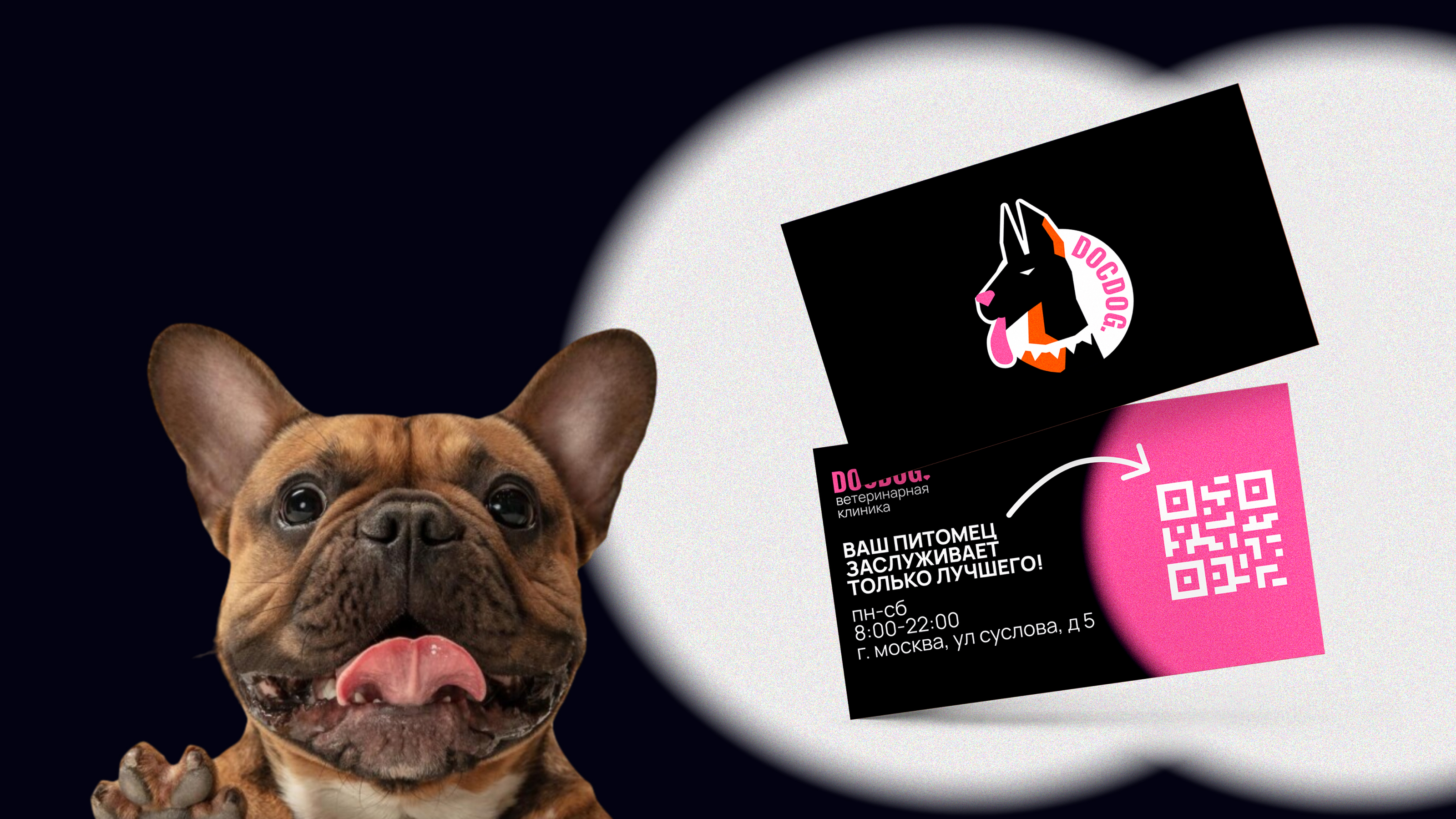 docdog. ветеринарная клиника премиум-класса — Изображение №4 — Брендинг на Dprofile