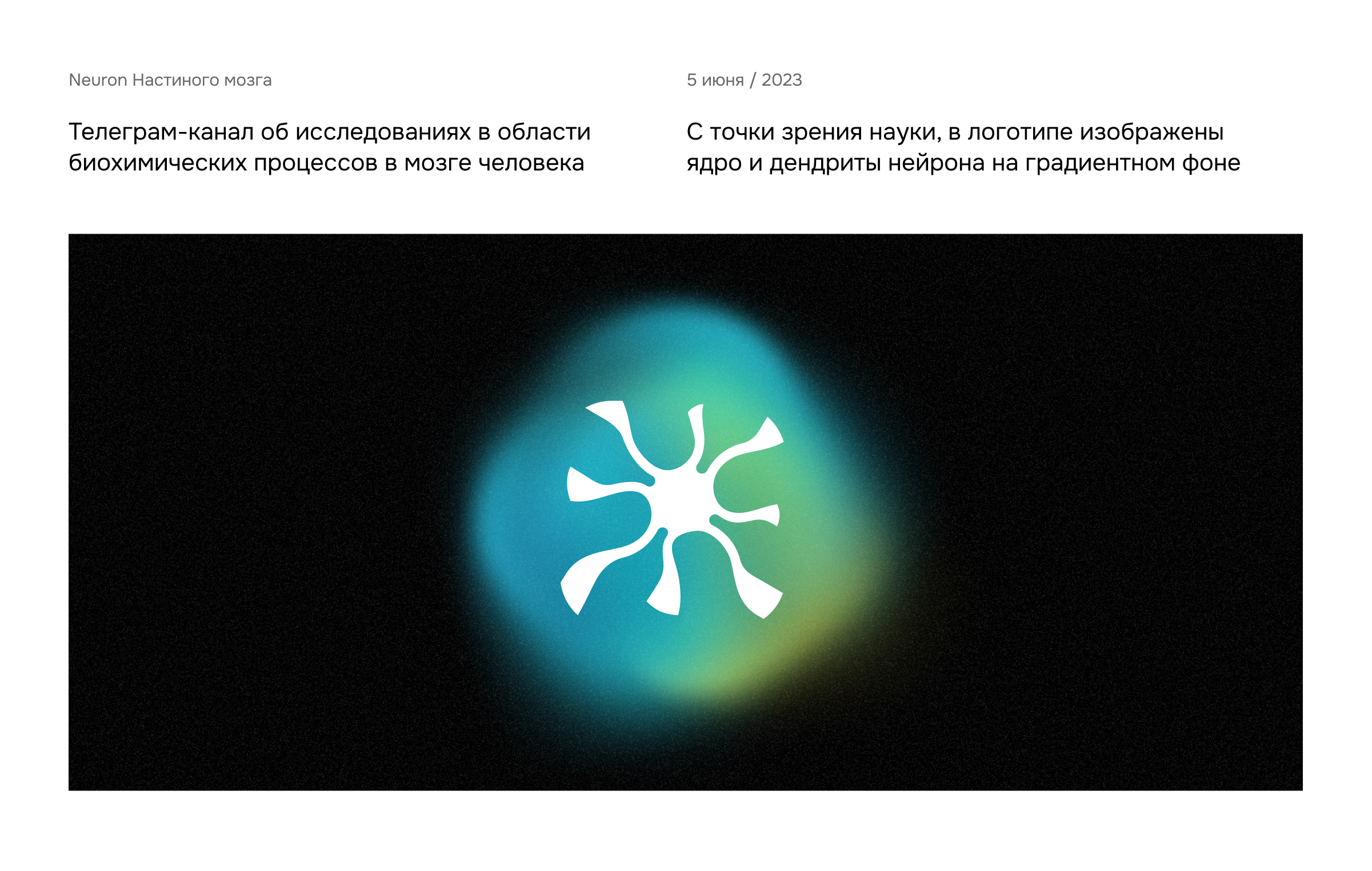 Logos Collection 2023 — Изображение №2 — Брендинг, Графика на Dprofile