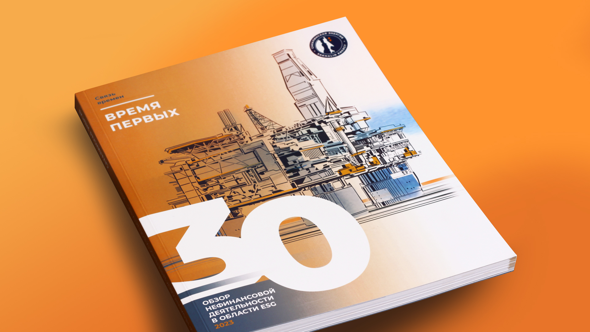 САХАЛИНСКАЯ ЭНЕРГИЯ — нефинансовый отчёт — Изображение №1 — Иллюстрация, Графика на Dprofile