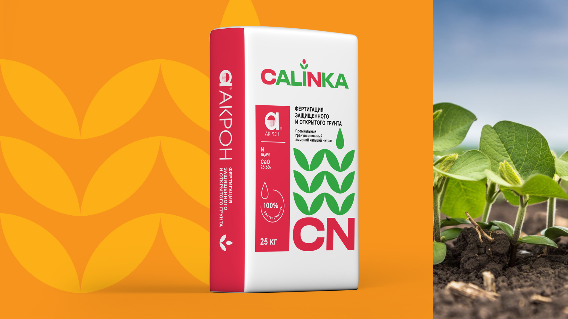 CALINKA — дизайн логотипа и упаковки — Изображение №8 — Брендинг на Dprofile