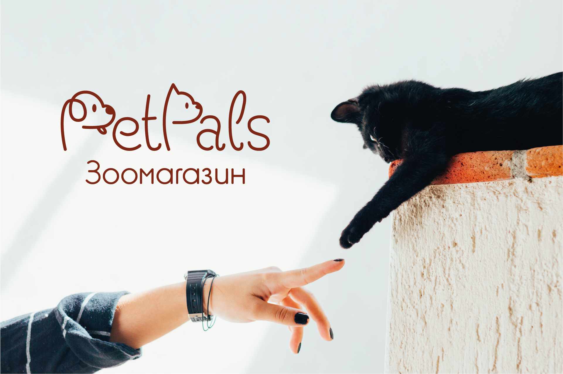 Айдентика зоомагазина PetPals/PetPals pet shop identity — Изображение №1 — Брендинг на Dprofile