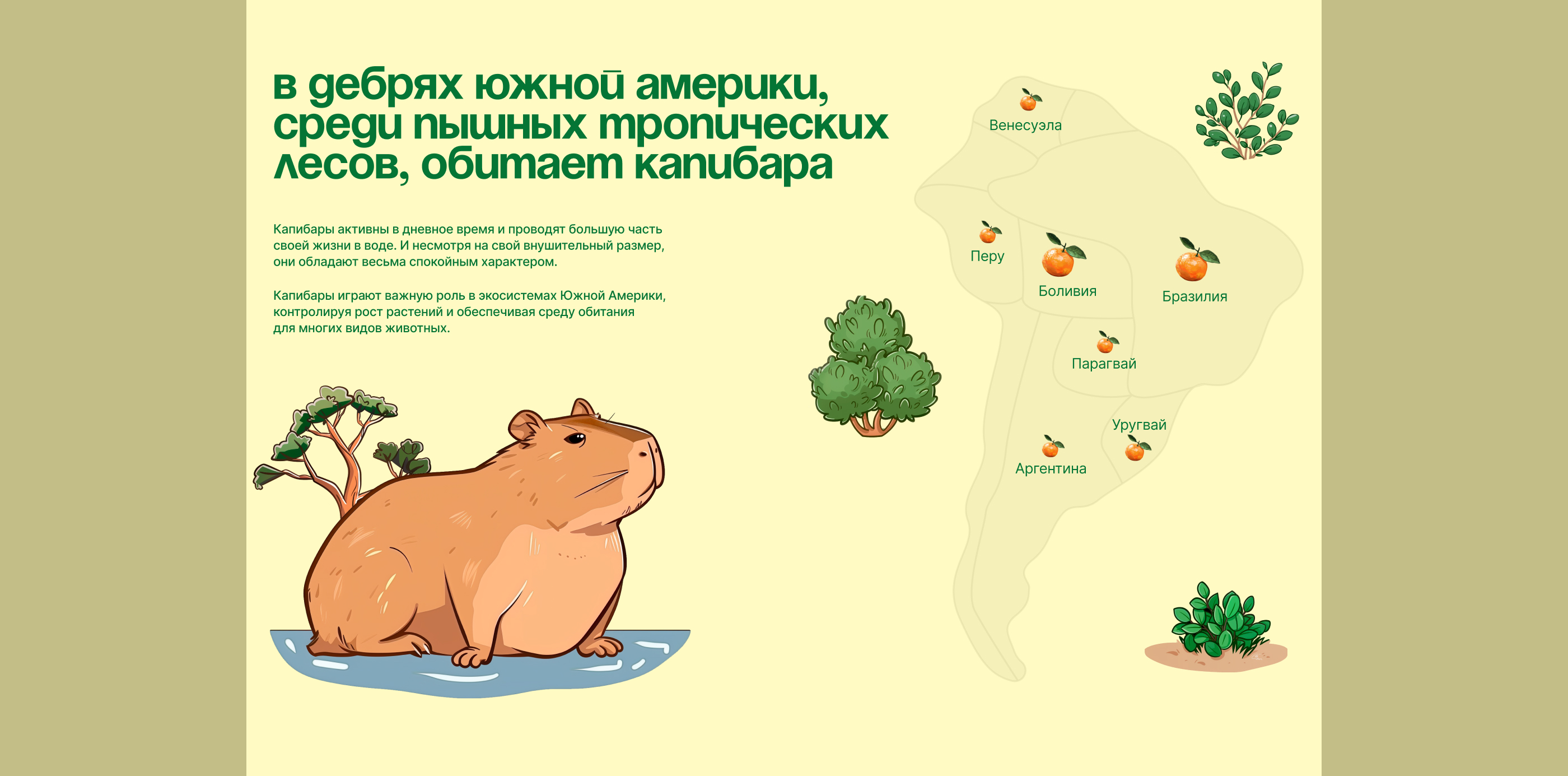 Capybara internet icon — Изображение №9 — Интерфейсы, Иллюстрация на Dprofile