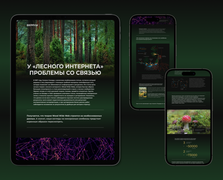 Лонгрид — Иллюстрация, Анимация на Dprofile