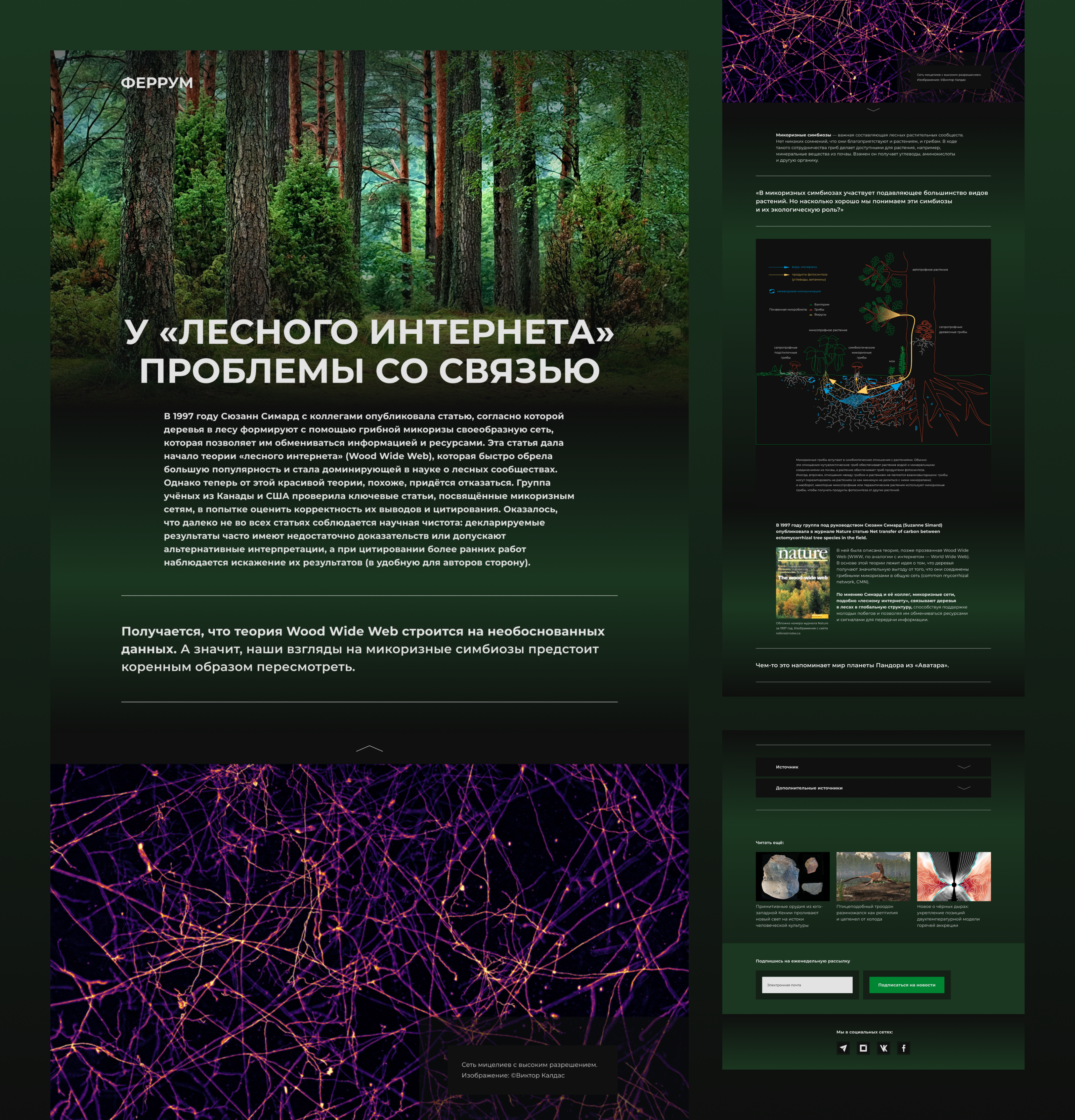 Лонгрид — Изображение №1 — Иллюстрация, Анимация на Dprofile