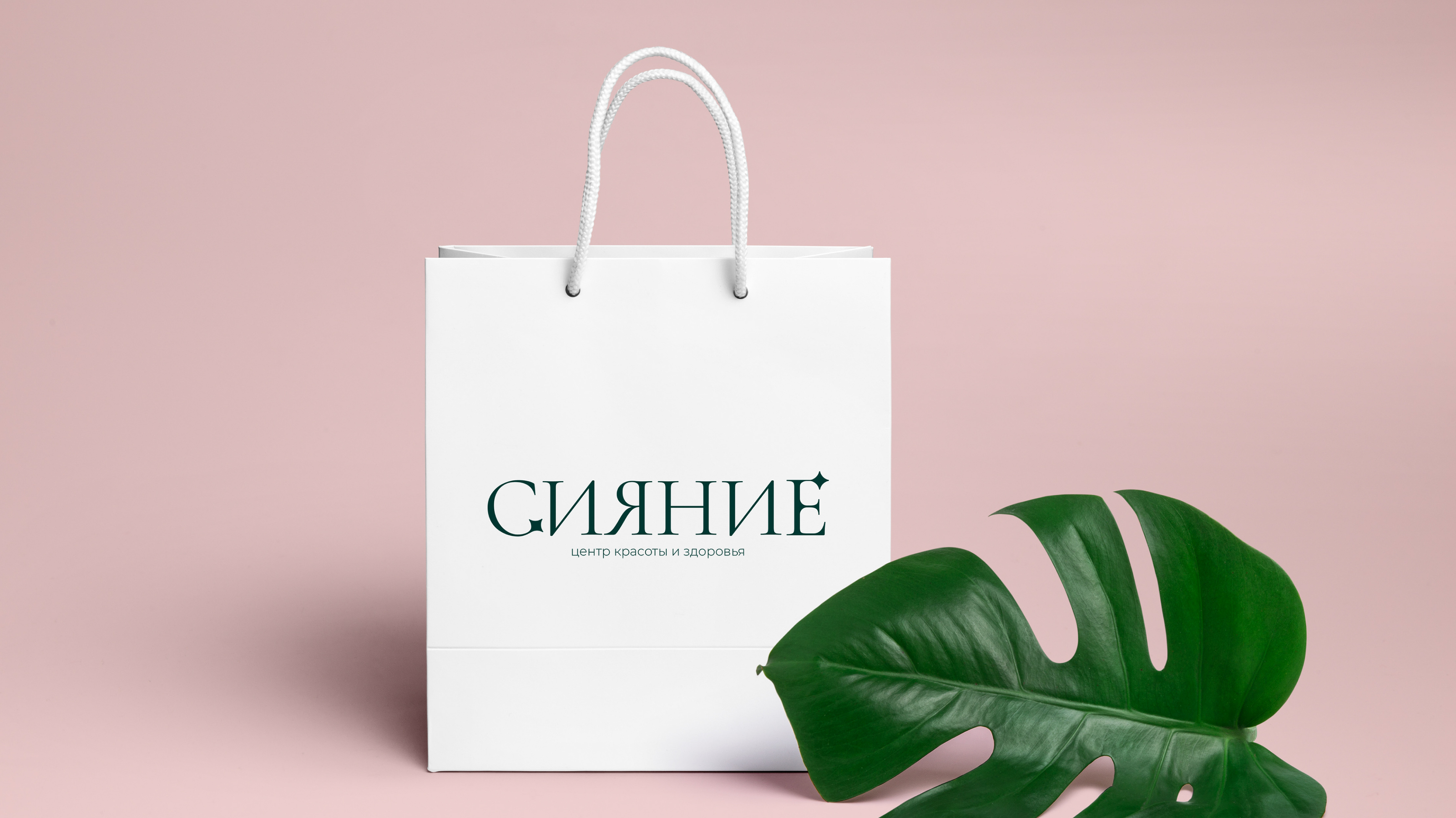 Логобук/Logobook для центра красоты и здоровья Сияние/Shine — Изображение №14 — Брендинг, Маркетинг на Dprofile