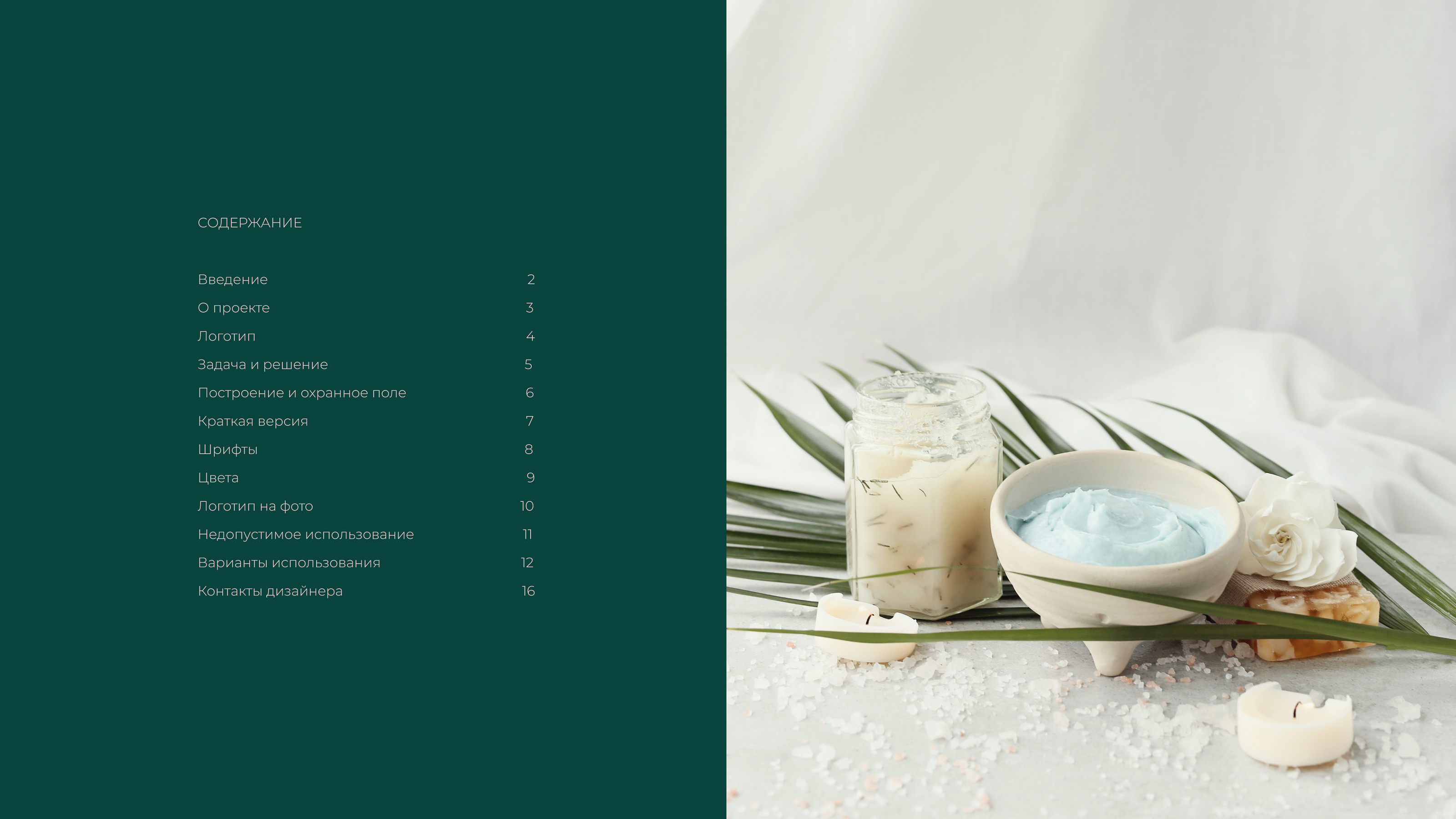Логобук/Logobook для центра красоты и здоровья Сияние/Shine — Изображение №1 — Брендинг, Маркетинг на Dprofile