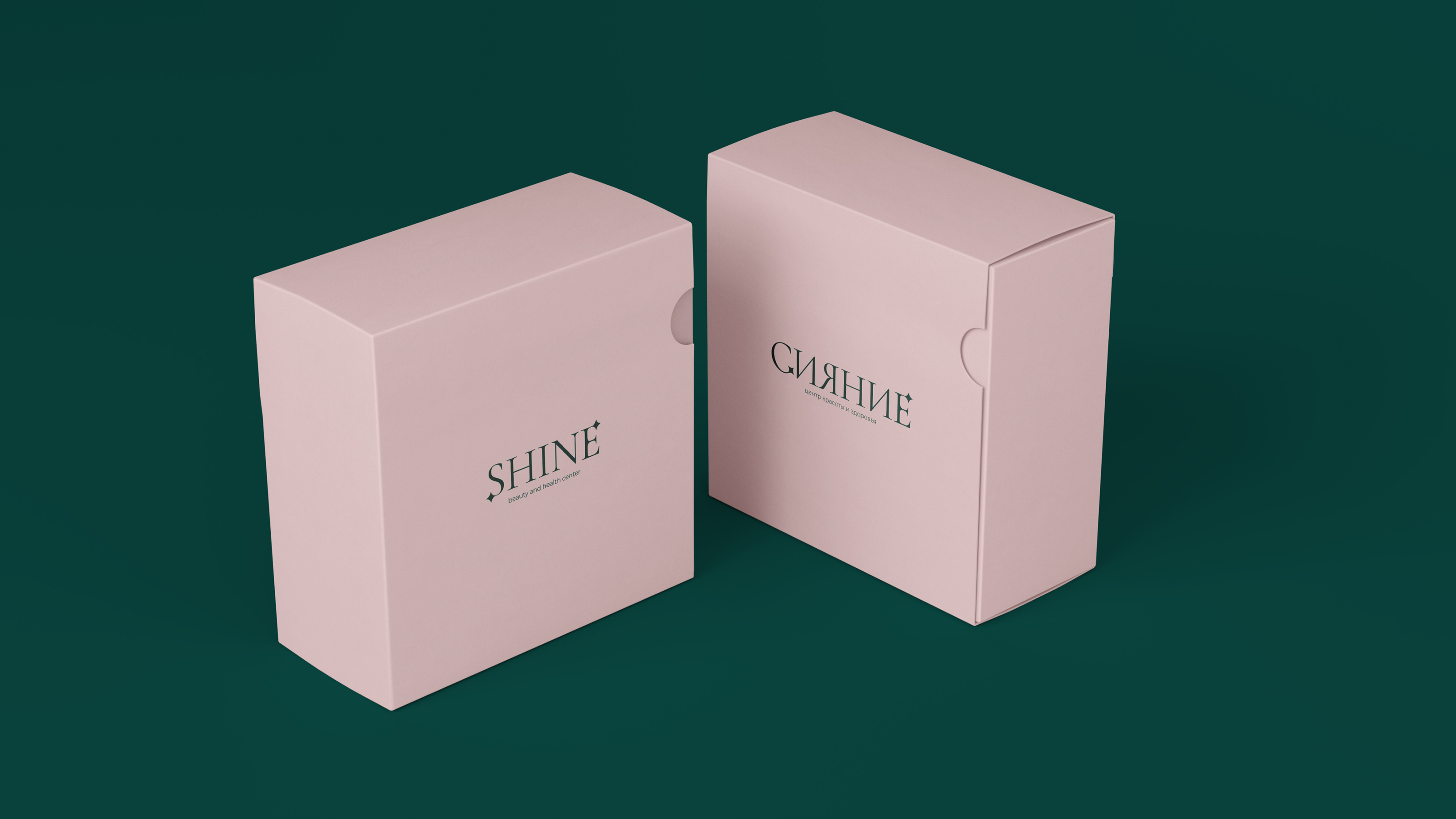 Логобук/Logobook для центра красоты и здоровья Сияние/Shine — Изображение №13 — Брендинг, Маркетинг на Dprofile