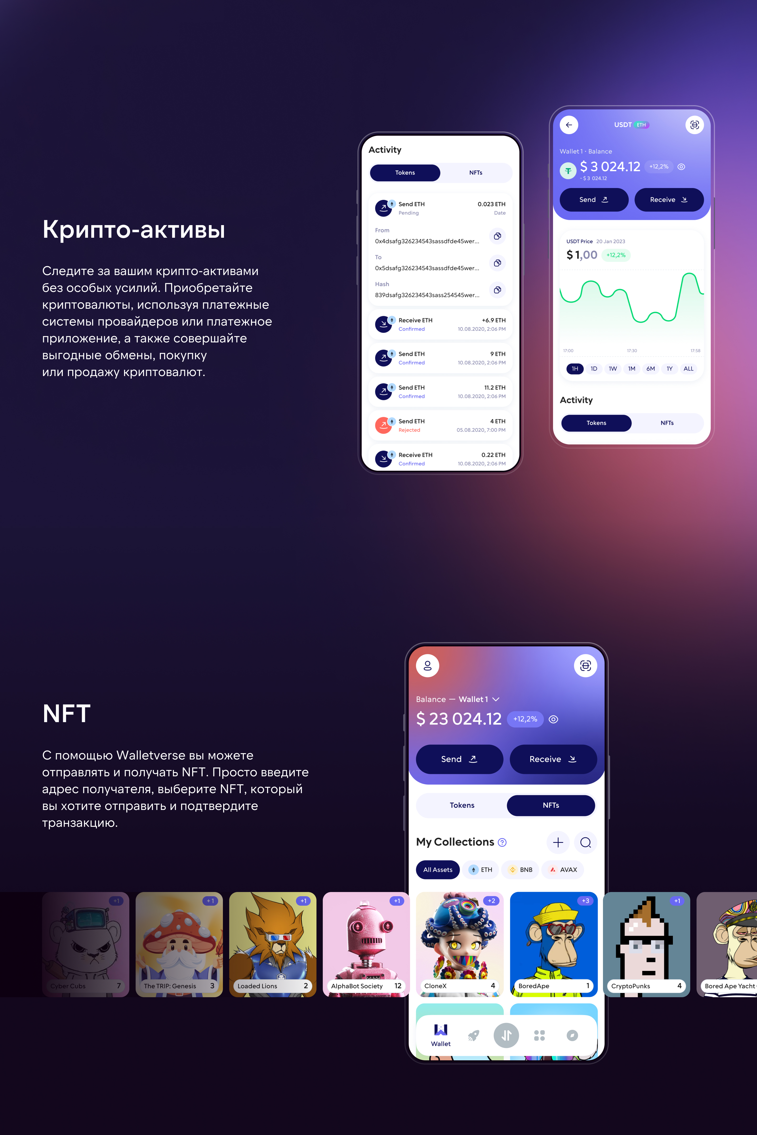 Walletverse - инновационный криптовалютный кошелек — Изображение №6 — Интерфейсы, Брендинг на Dprofile