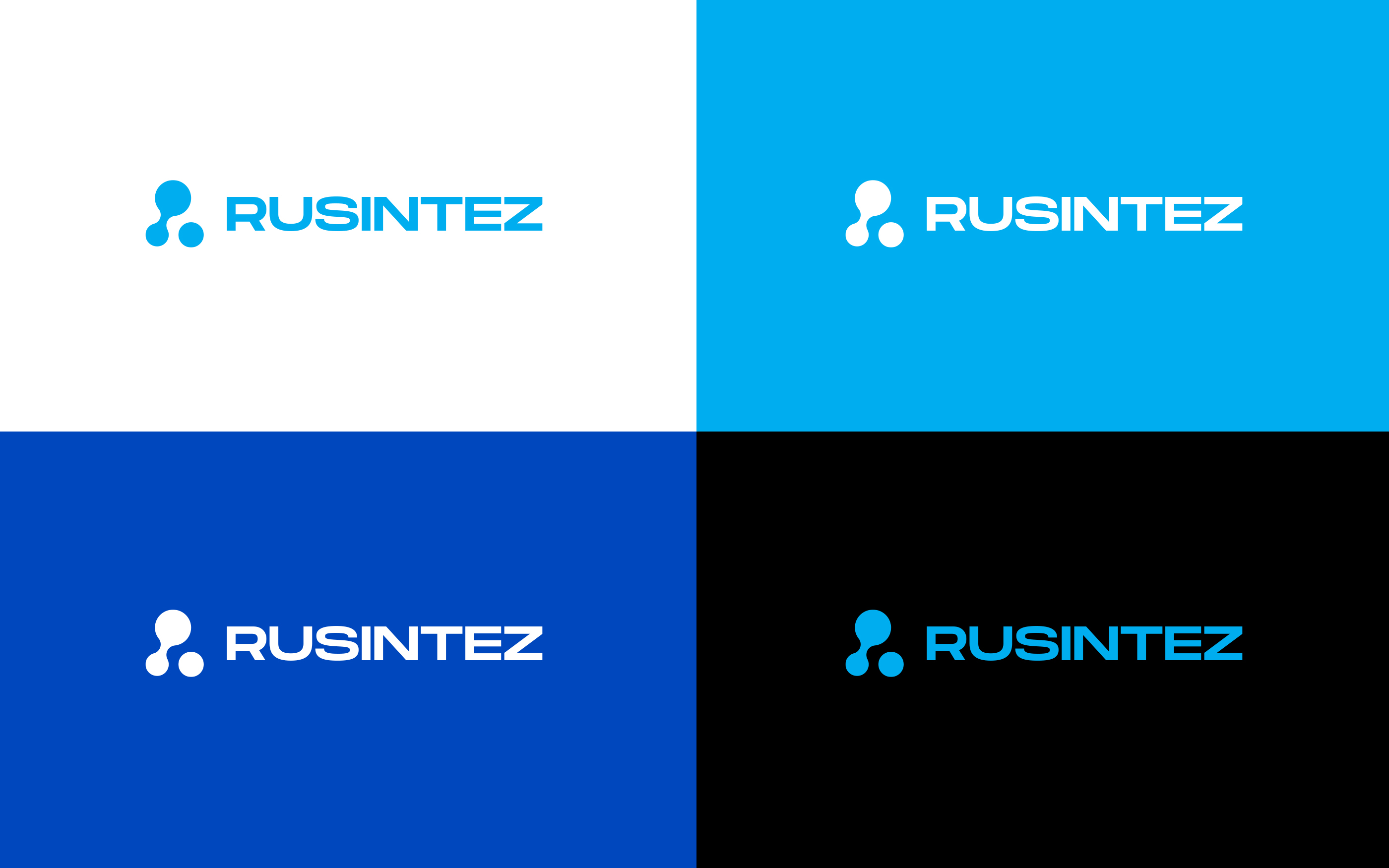 Rusintez — Изображение №5 — Брендинг на Dprofile