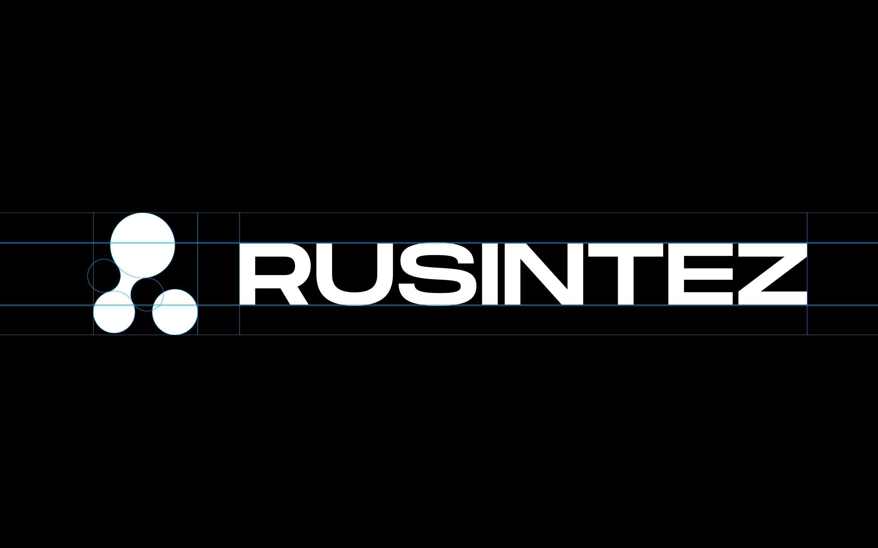 Rusintez — Изображение №4 — Брендинг на Dprofile