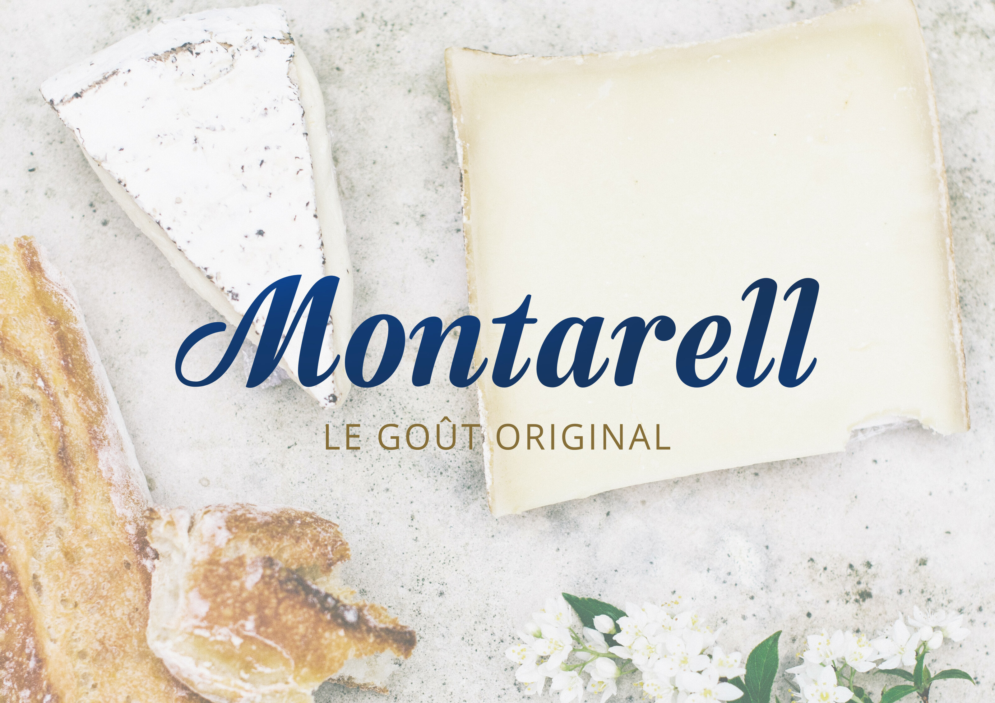 Montarell — Изображение №1 — Брендинг на Dprofile