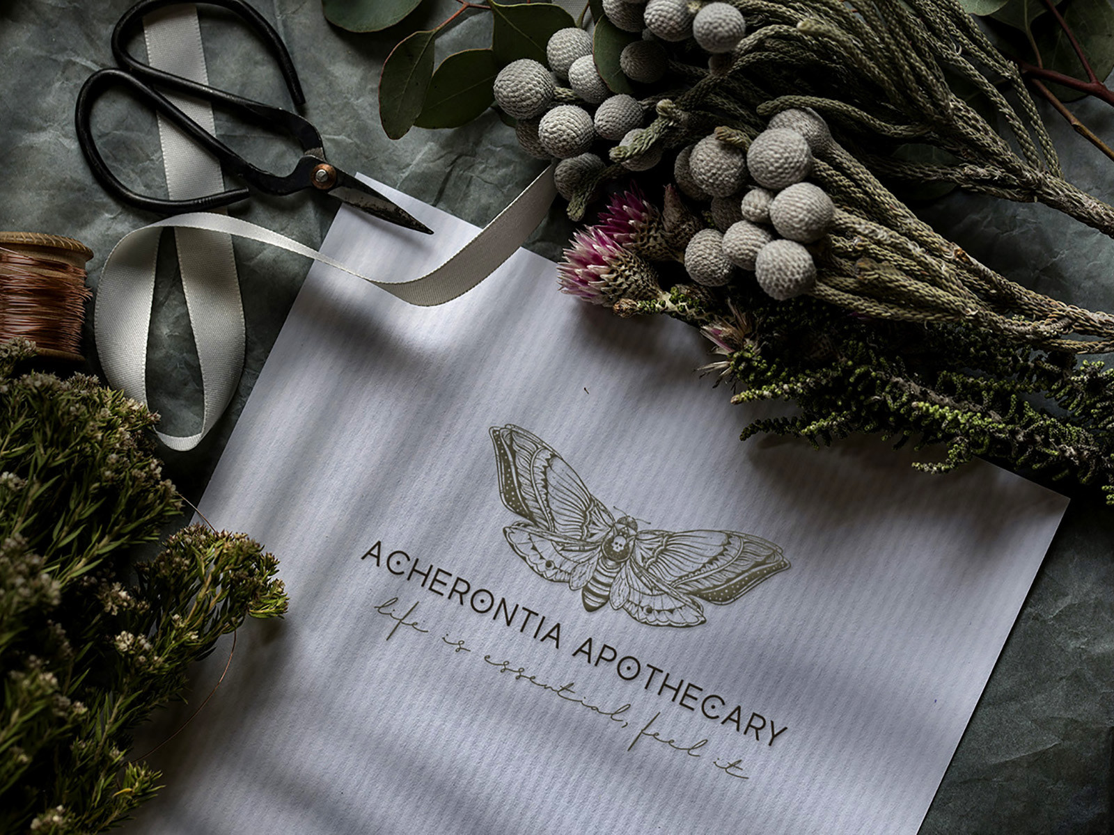 Acheronia apothecary — Изображение №5 — Брендинг, Иллюстрация на Dprofile