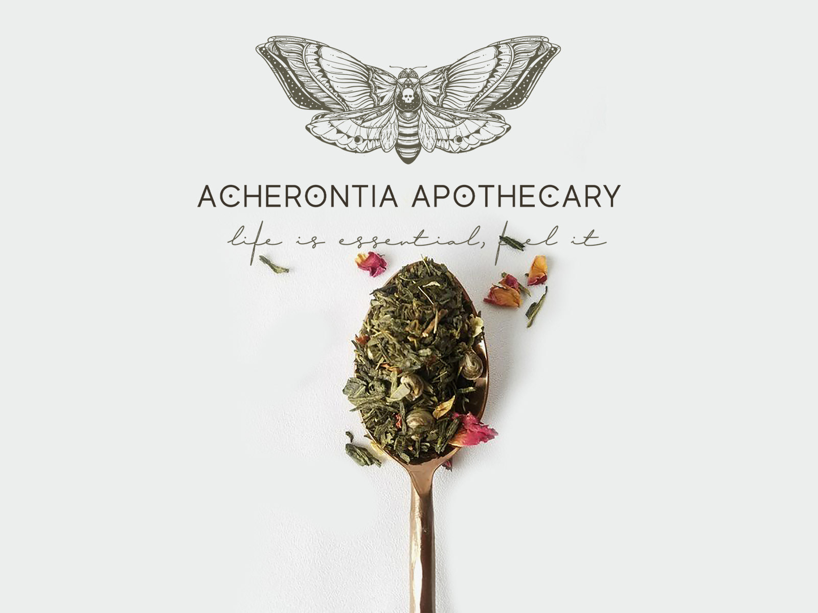 Acheronia apothecary — Изображение №1 — Брендинг, Иллюстрация на Dprofile