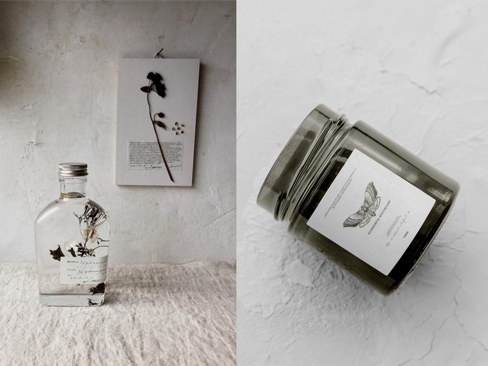 Acheronia apothecary — Изображение №2 — Брендинг, Иллюстрация на Dprofile