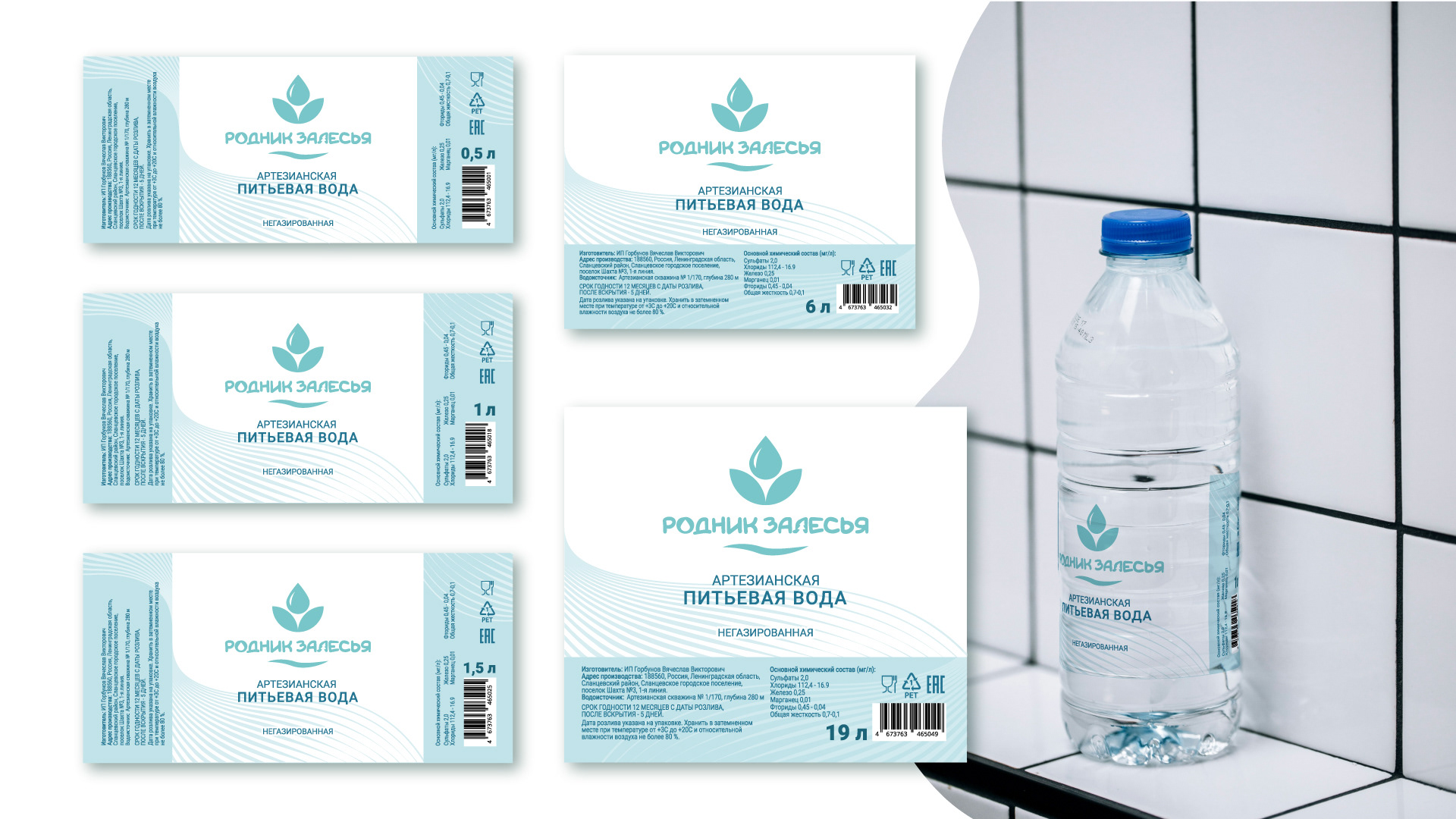 Логотип и этикетки для бутилированной воды — Изображение №2 — Брендинг, Графика на Dprofile
