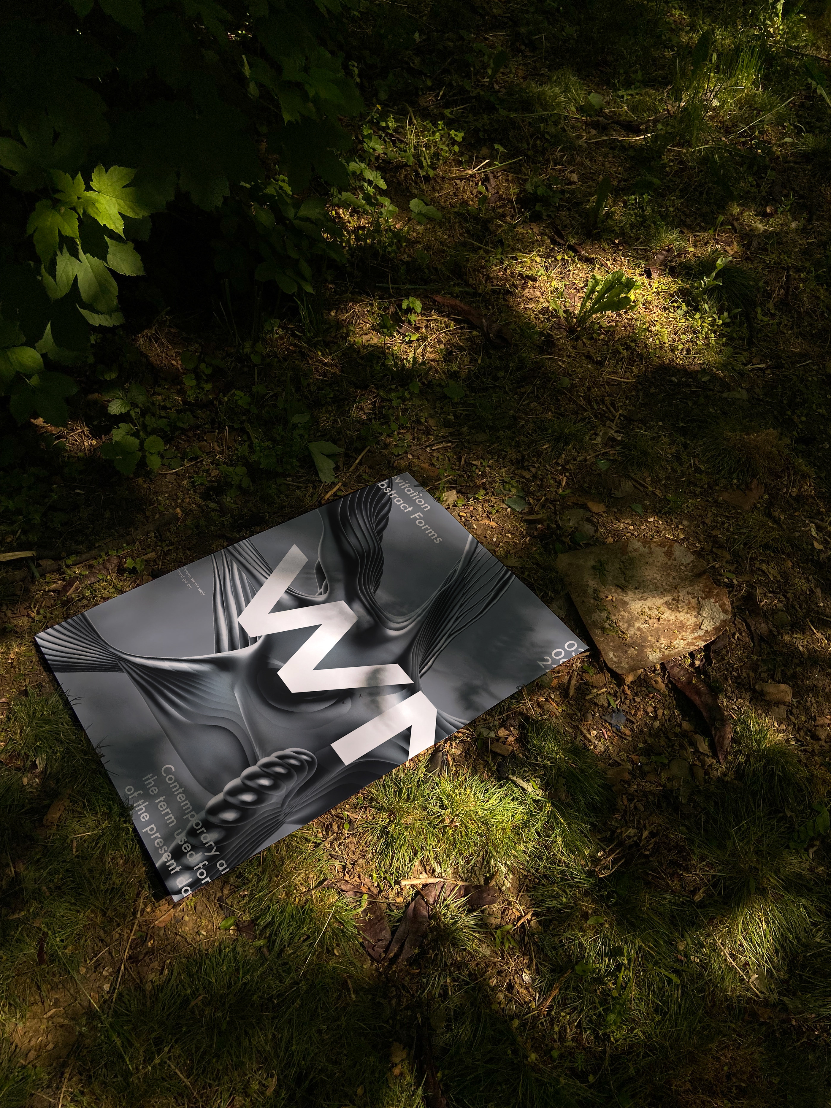 "WN" Posters Design — Изображение №1 — Брендинг, Графика, 3D на Dprofile