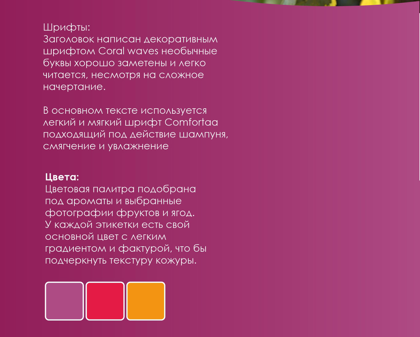 Дизайн этикетки на шампунь — Изображение №6 — Брендинг, Графика на Dprofile