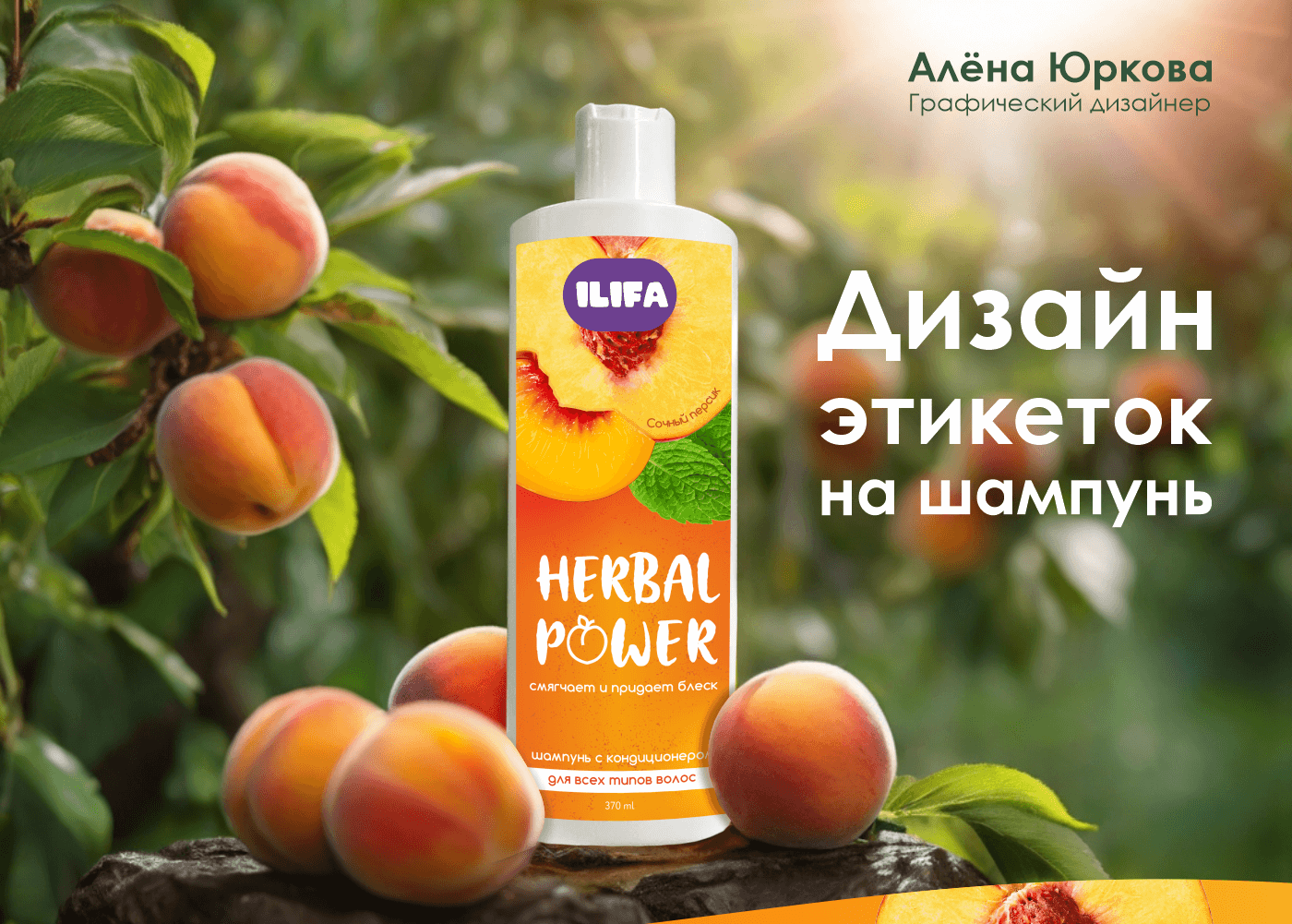 Дизайн этикетки на шампунь — Изображение №1 — Брендинг, Графика на Dprofile
