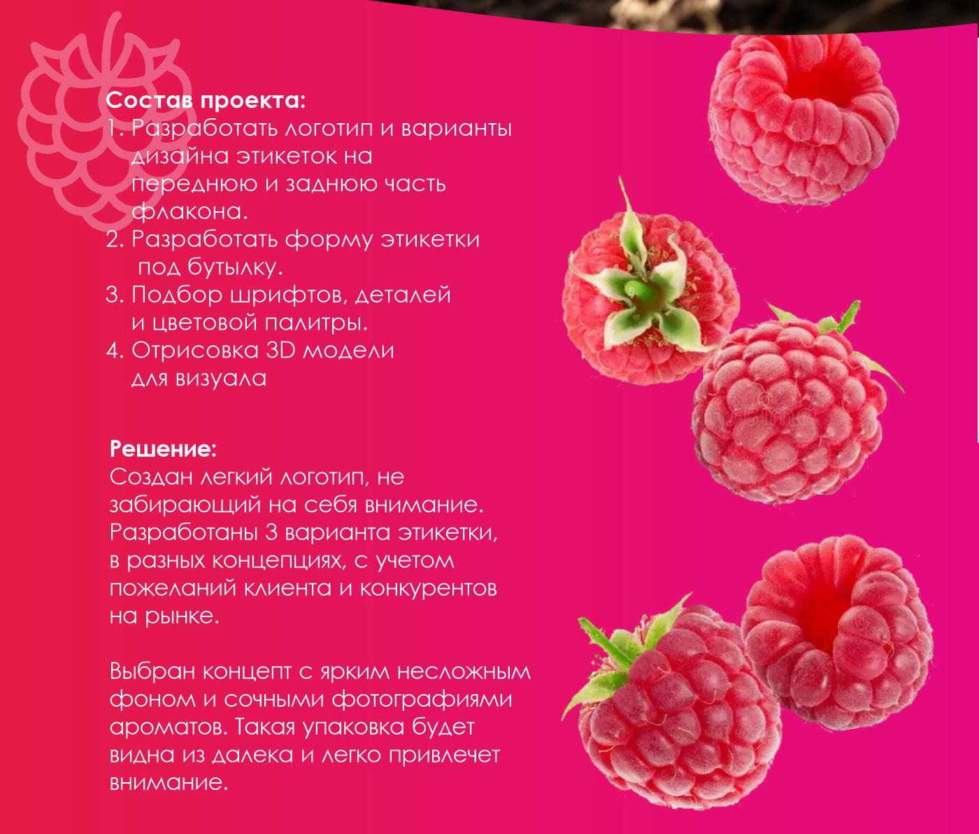 Дизайн этикетки на шампунь — Изображение №4 — Брендинг, Графика на Dprofile