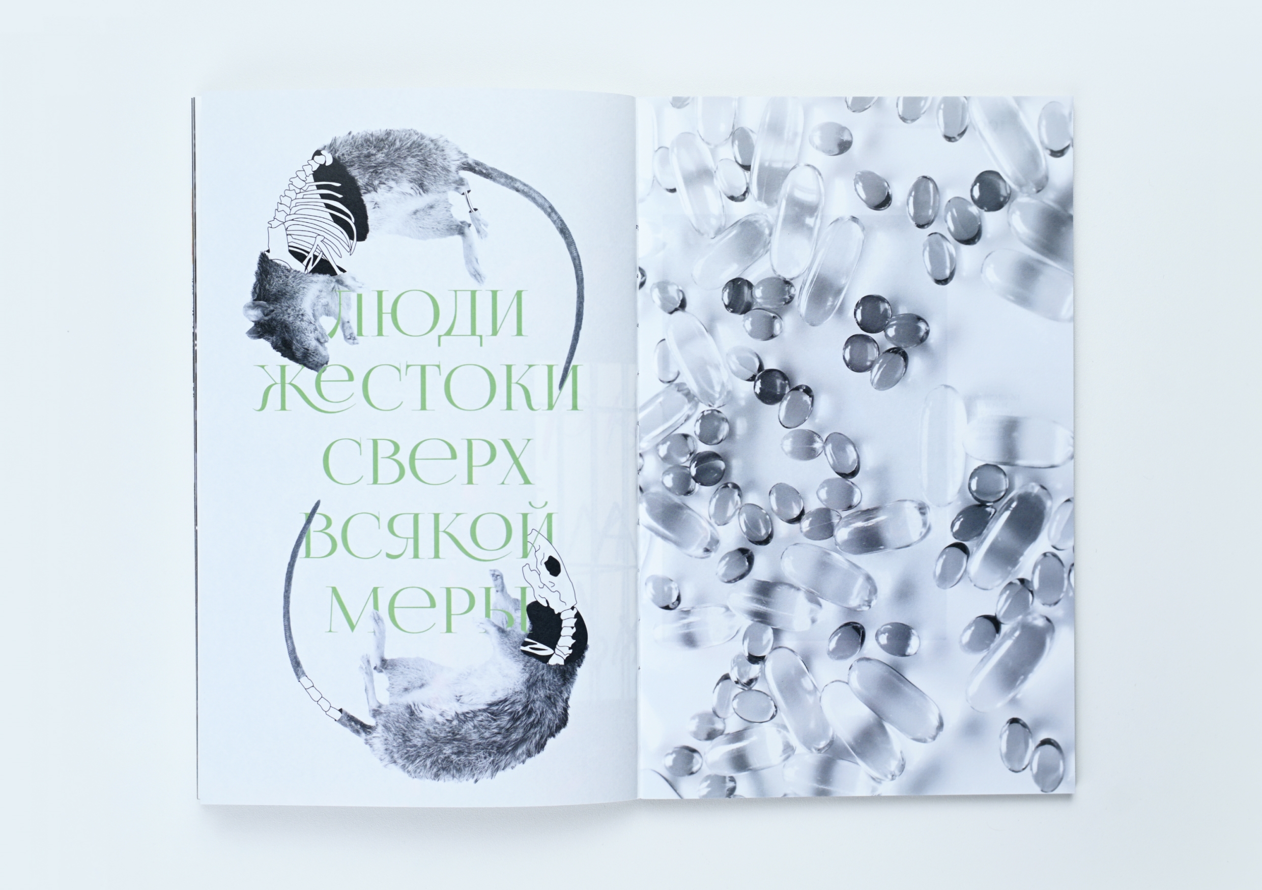 Зелёные заповеди — Изображение №32 — Графика на Dprofile