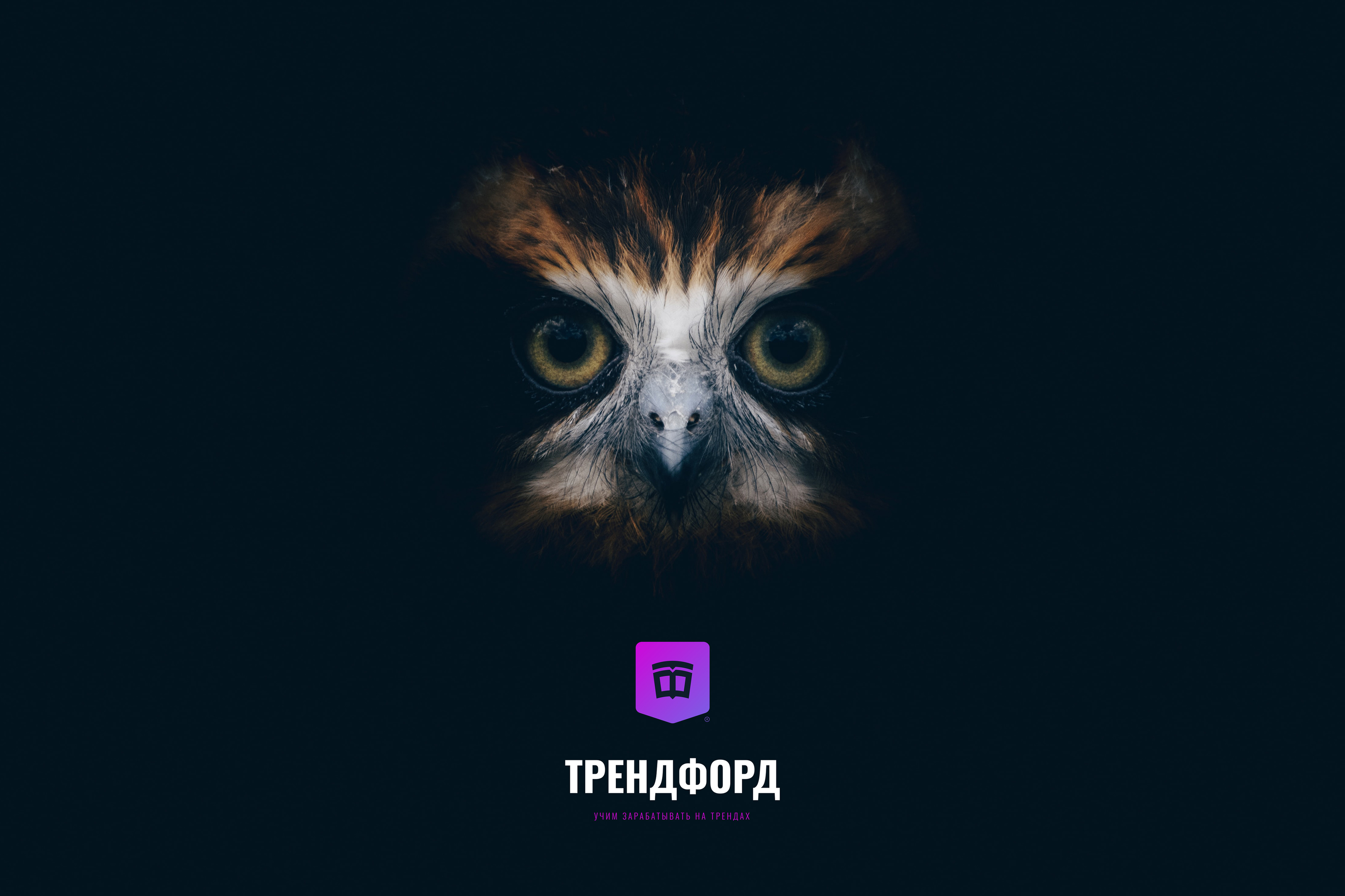 ТРЕНДФОРД — Изображение №2 — Брендинг на Dprofile