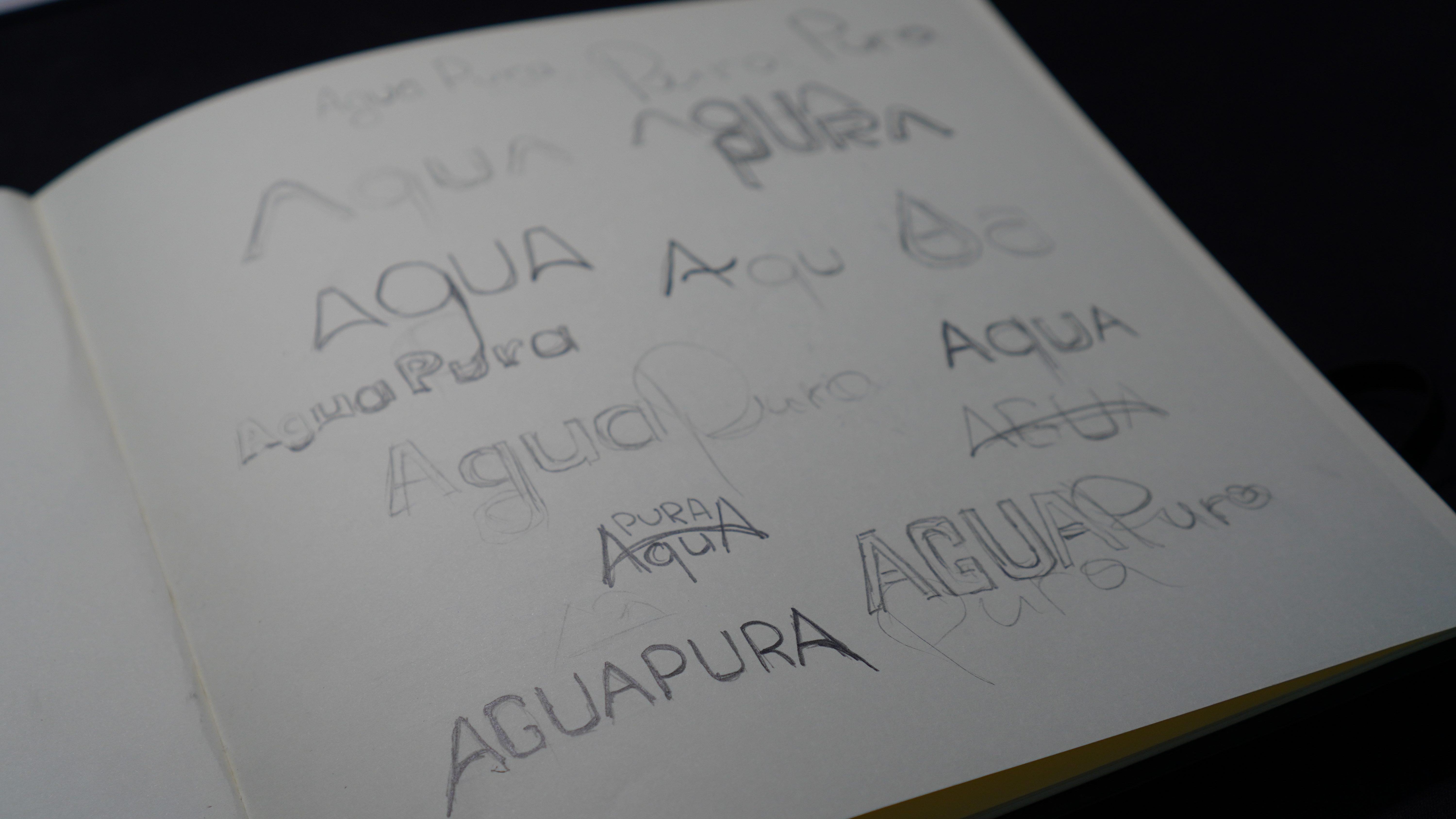 Agua Pura — Изображение №3 — Брендинг на Dprofile