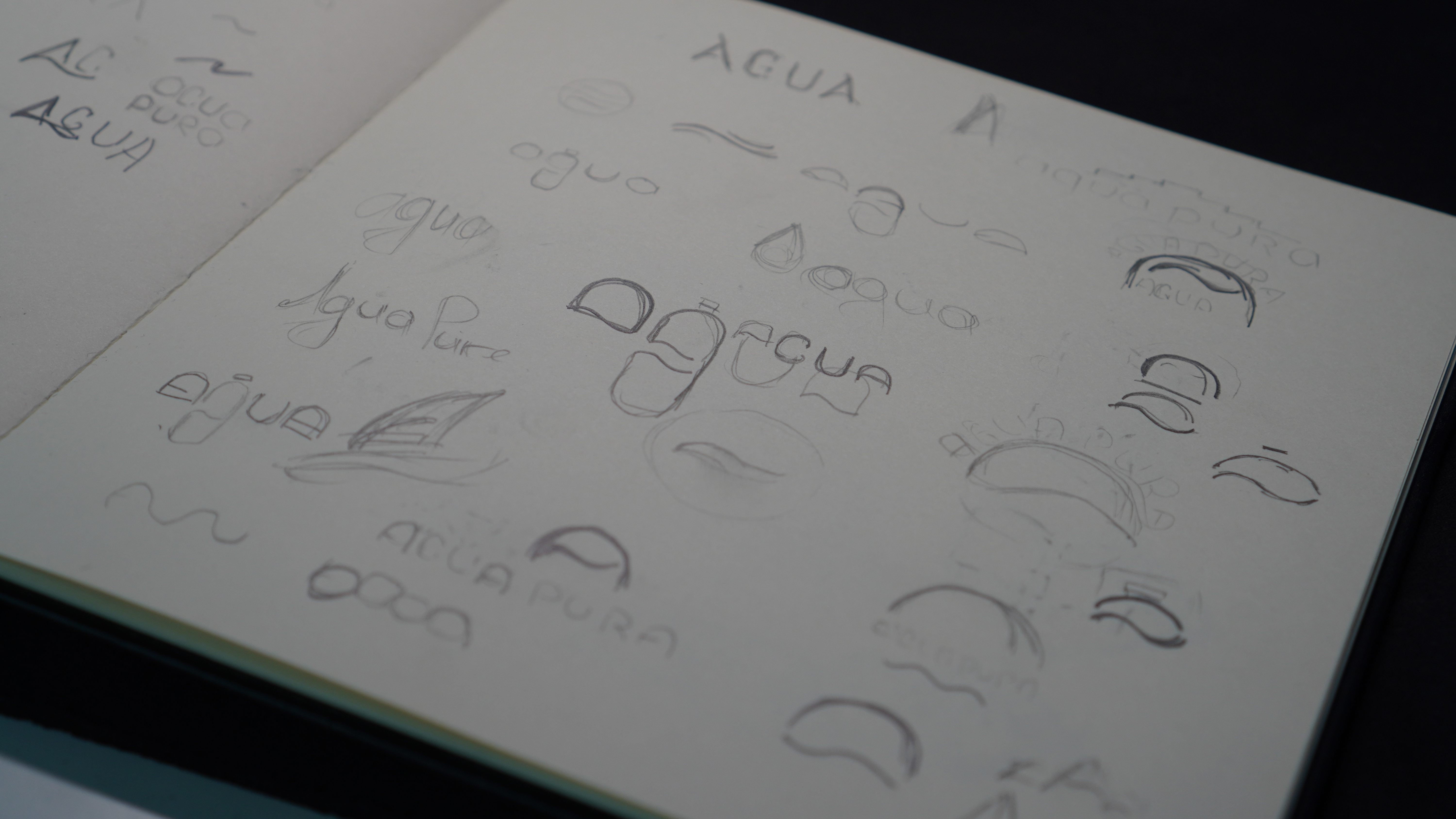 Agua Pura — Изображение №2 — Брендинг на Dprofile