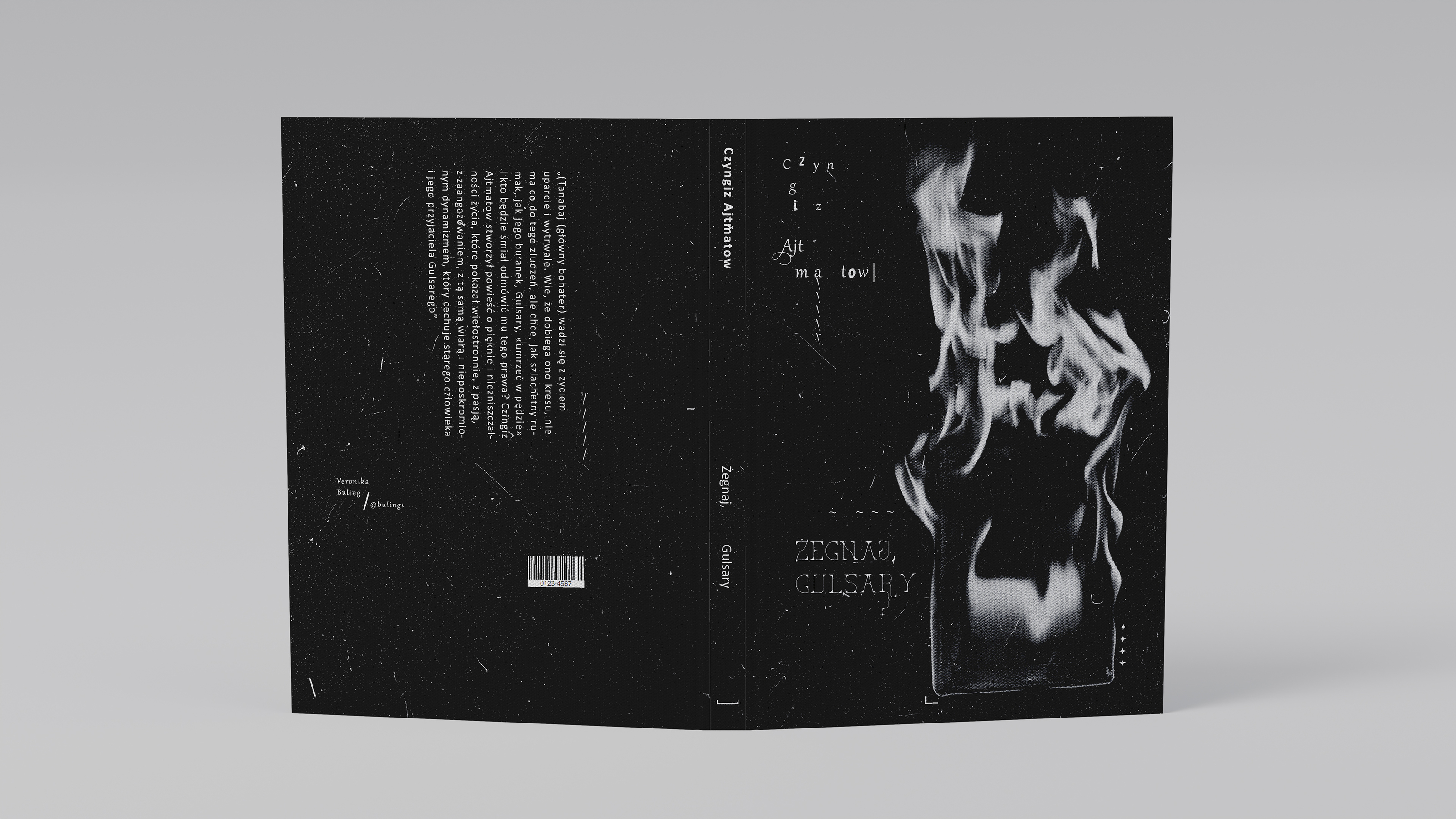 cover book | design books Chinghiz Aitmatov — Изображение №3 — Брендинг, Графика на Dprofile