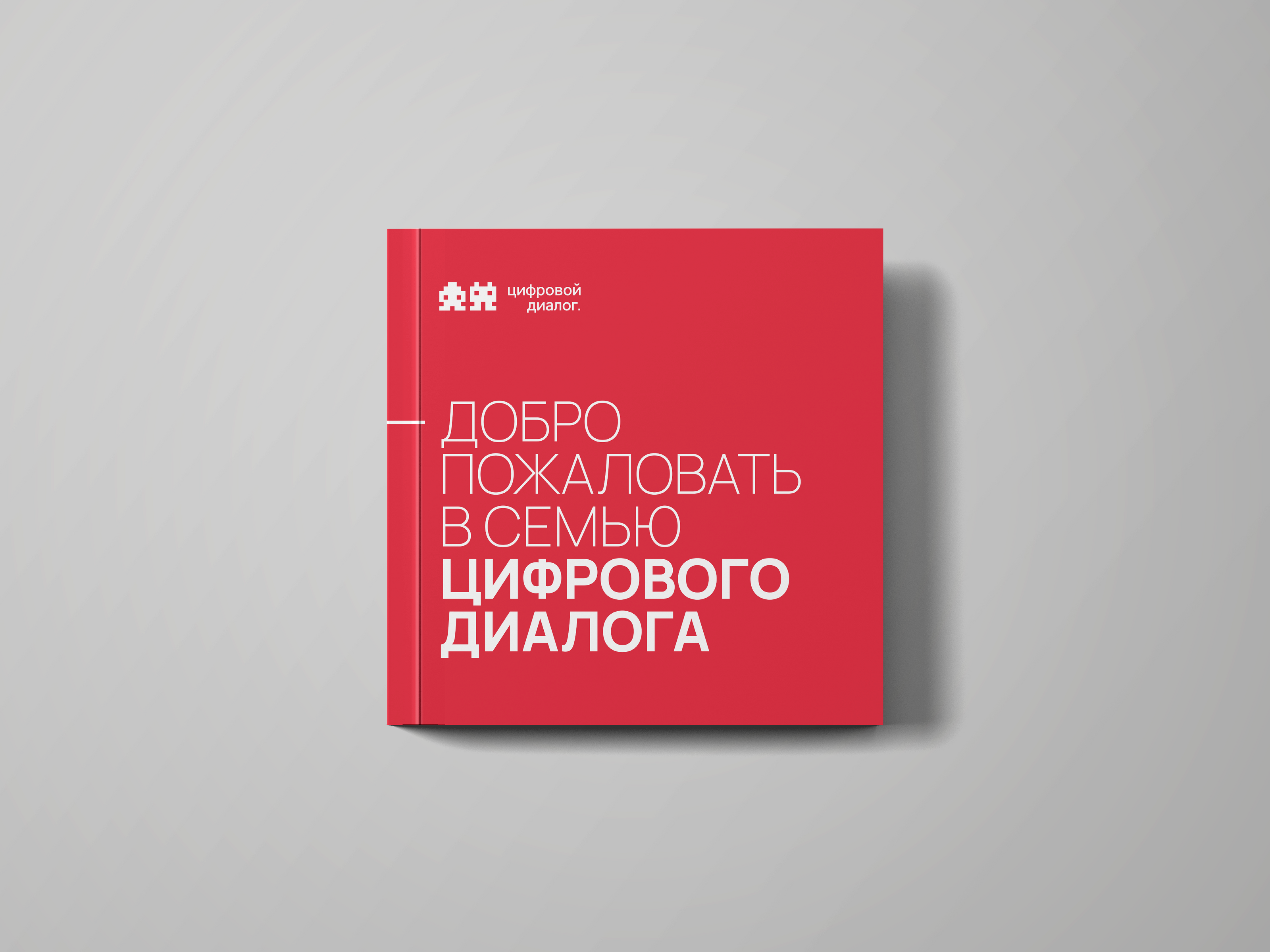 DIDI Welcome Kit — Изображение №1 — Графика на Dprofile