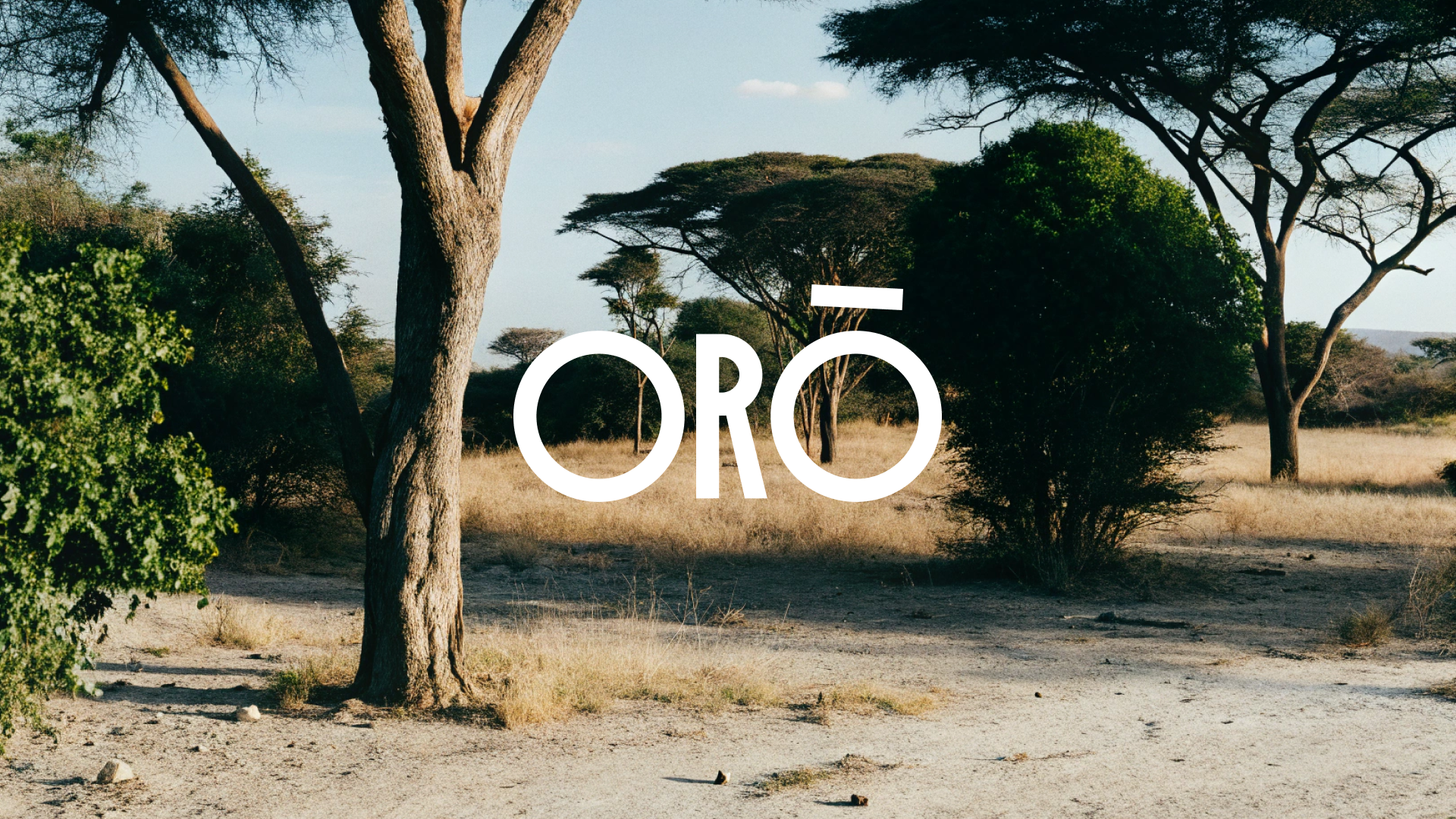 ORO - упаковка кофейных зерен | Айдентика, брендинг — Изображение №2 — Брендинг, Иллюстрация на Dprofile