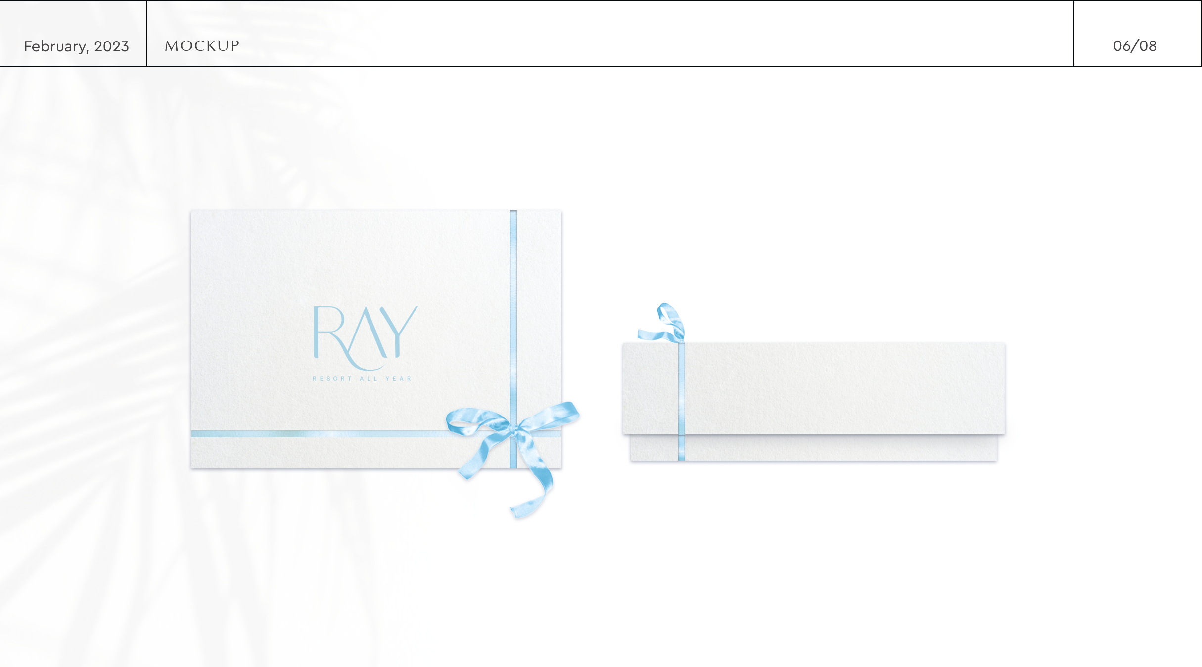 Brand identity for RAY — Изображение №7 — Брендинг на Dprofile