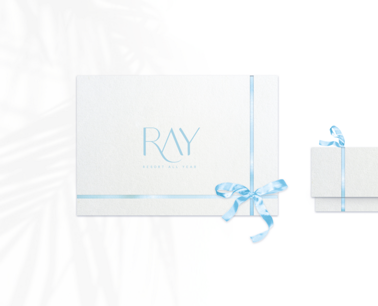Brand identity for RAY — Брендинг на Dprofile
