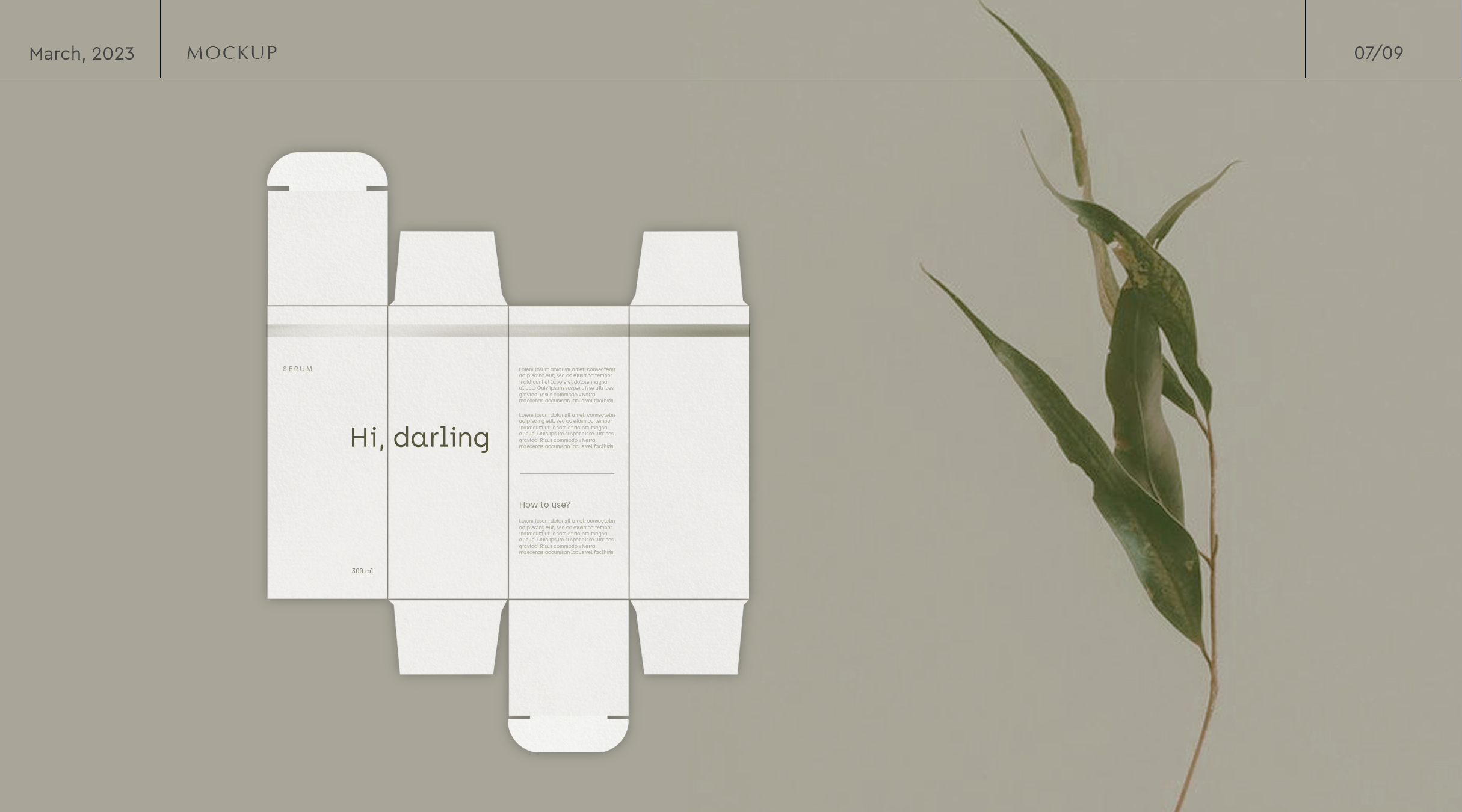Brand identity Hi, darling — Изображение №8 — Брендинг на Dprofile