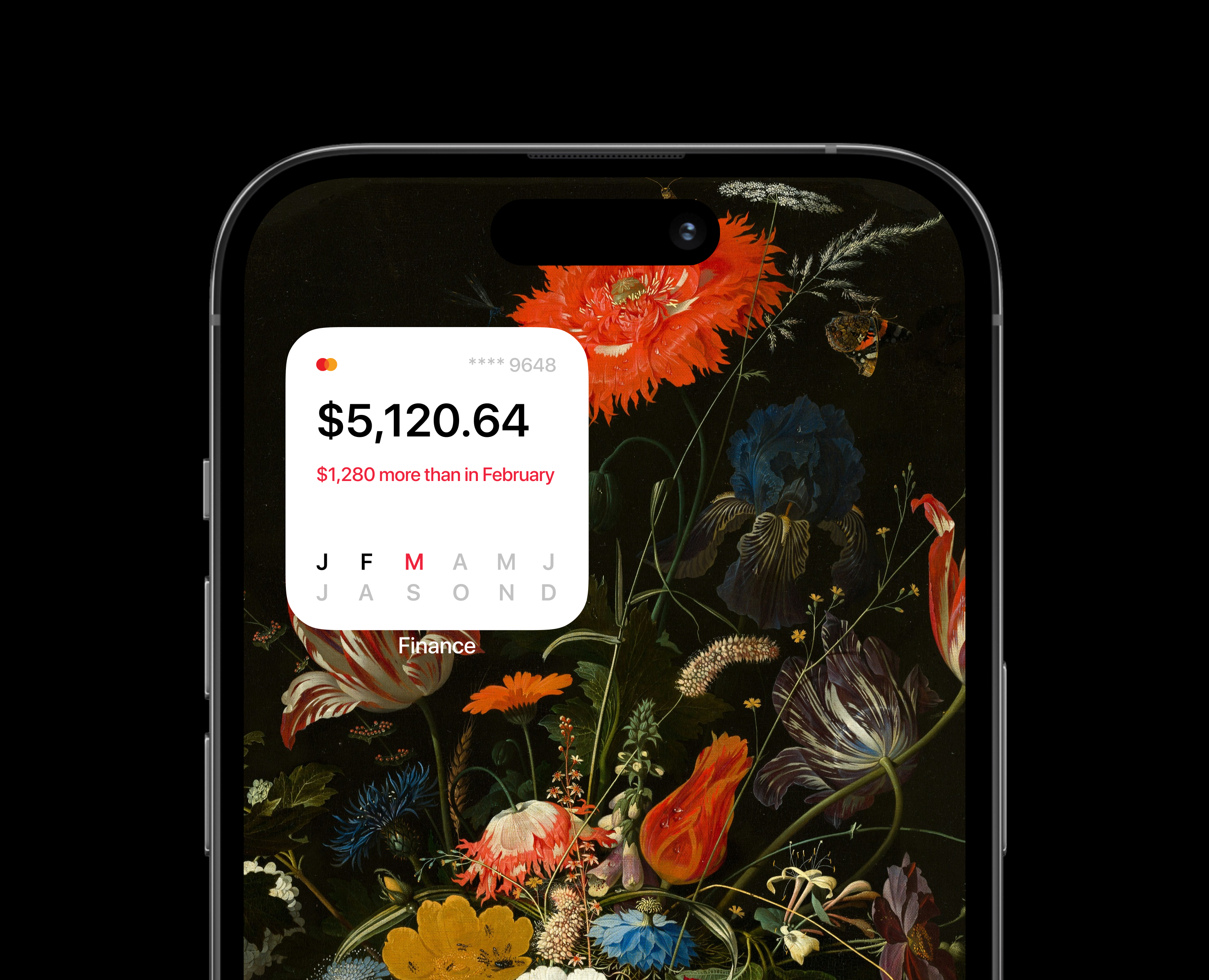 iOS widget budget 💳 на Dprofile