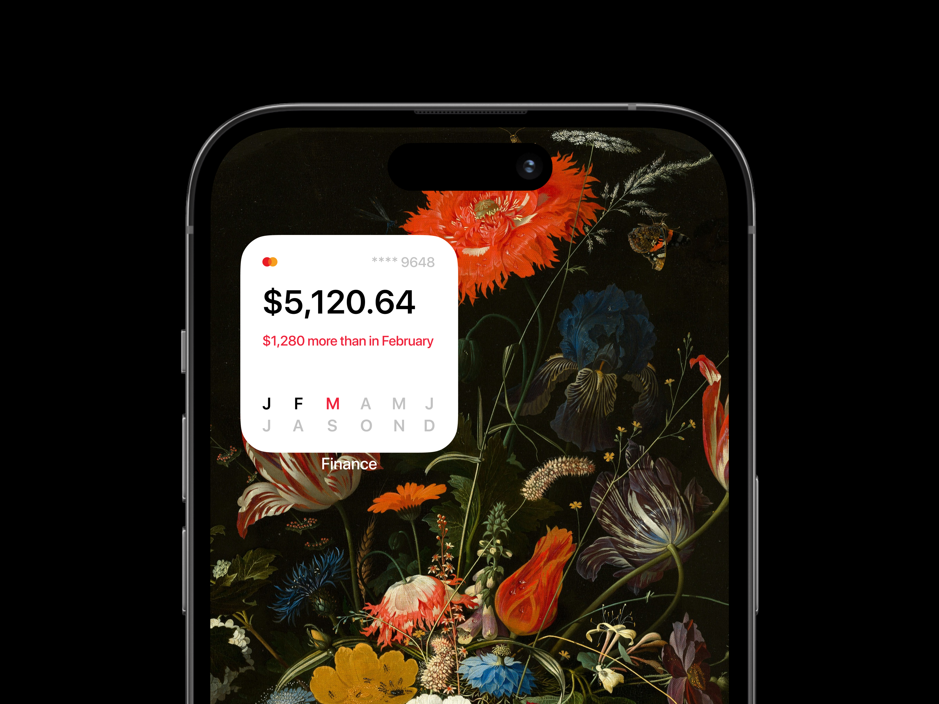 iOS widget budget 💳 — Изображение №1 — Интерфейсы на Dprofile
