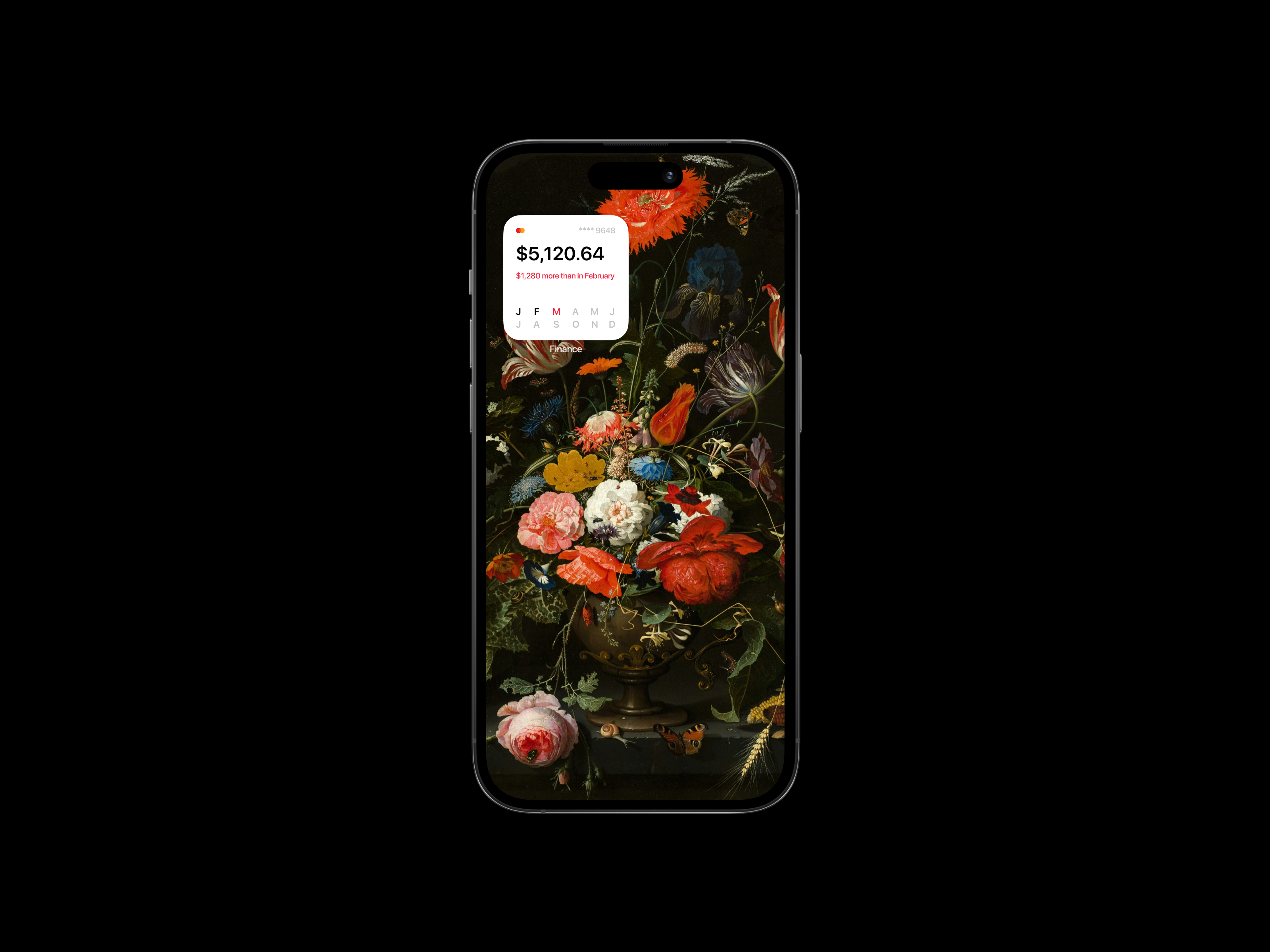 iOS widget budget 💳 — Изображение №3 — Интерфейсы на Dprofile