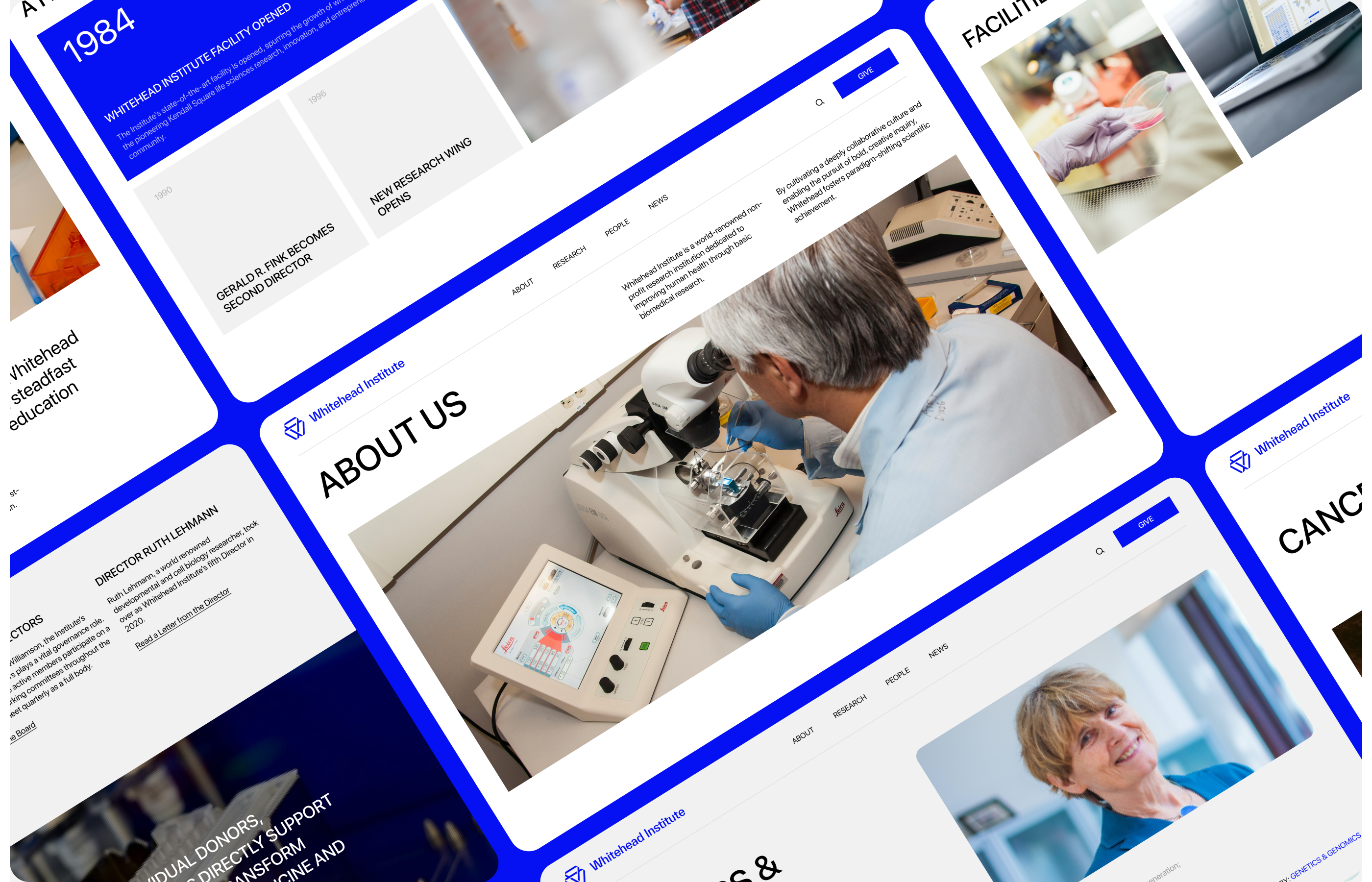 Whitehead Institute— redesign corporate site on Behance — Изображение №8 — Интерфейсы, Брендинг на Dprofile