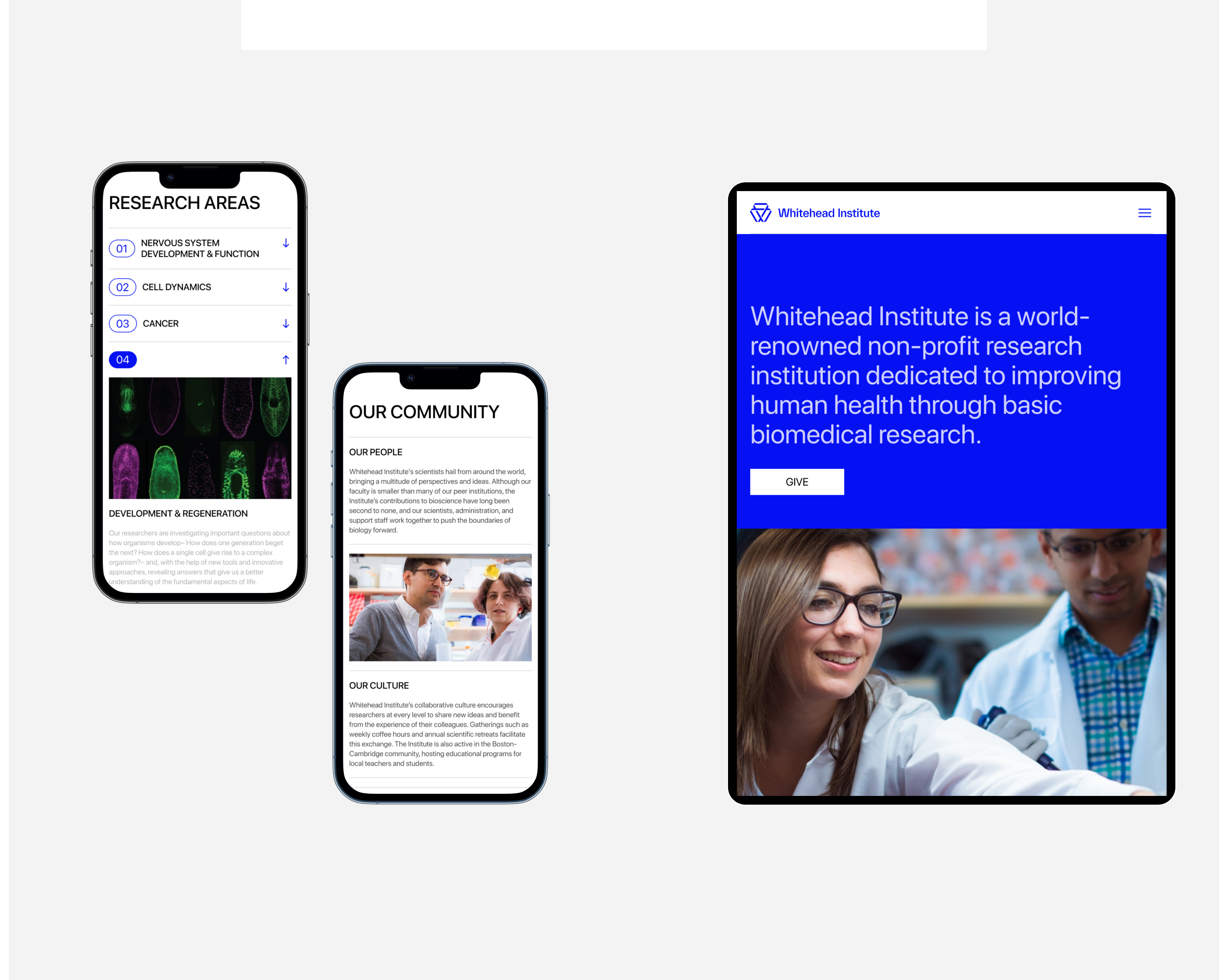 Whitehead Institute— redesign corporate site on Behance — Изображение №4 — Интерфейсы, Брендинг на Dprofile