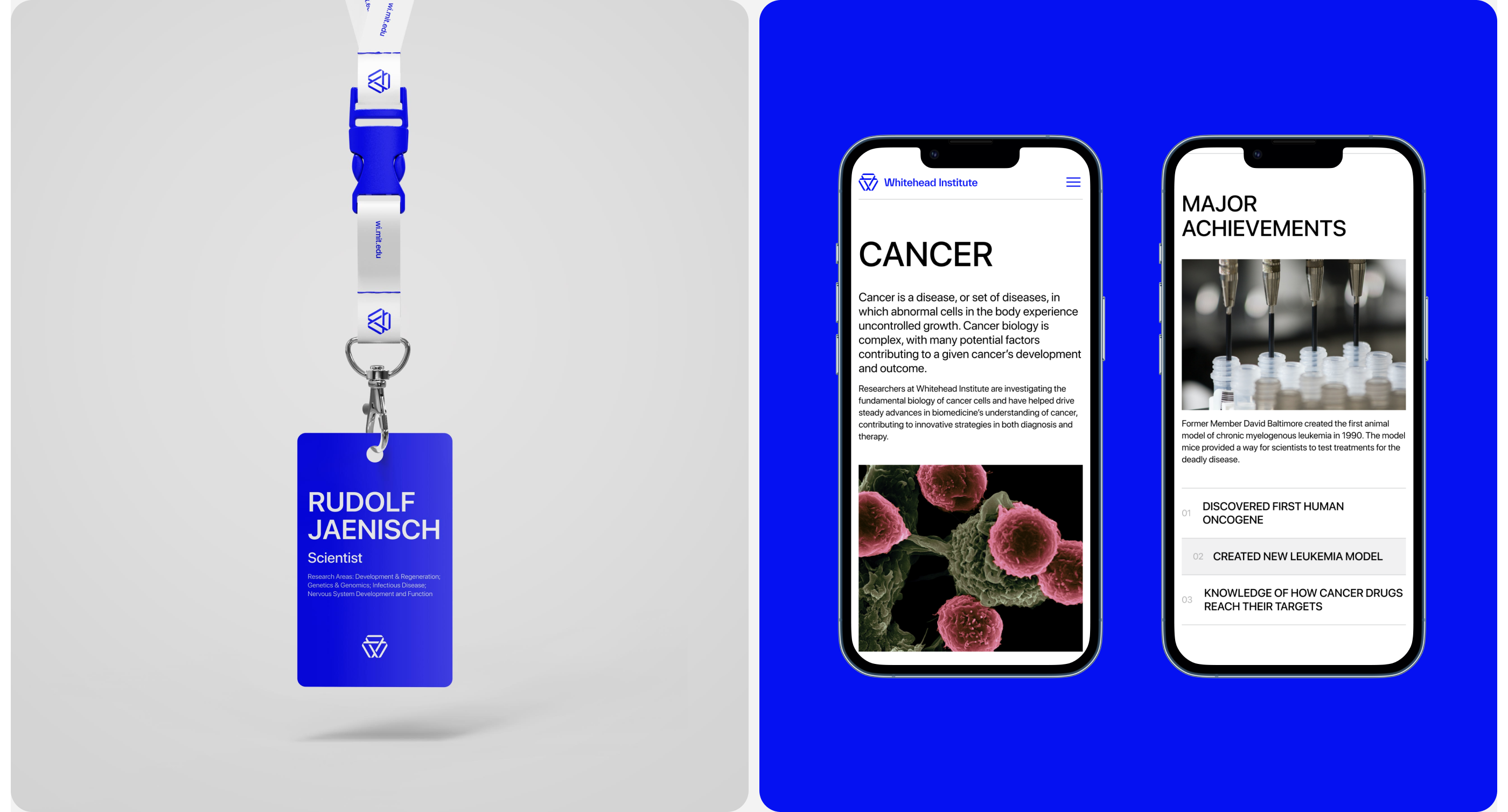 Whitehead Institute— redesign corporate site on Behance — Изображение №10 — Интерфейсы, Брендинг на Dprofile