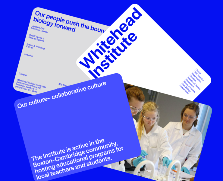 Whitehead Institute— redesign corporate site on Behance — Интерфейсы, Брендинг на Dprofile