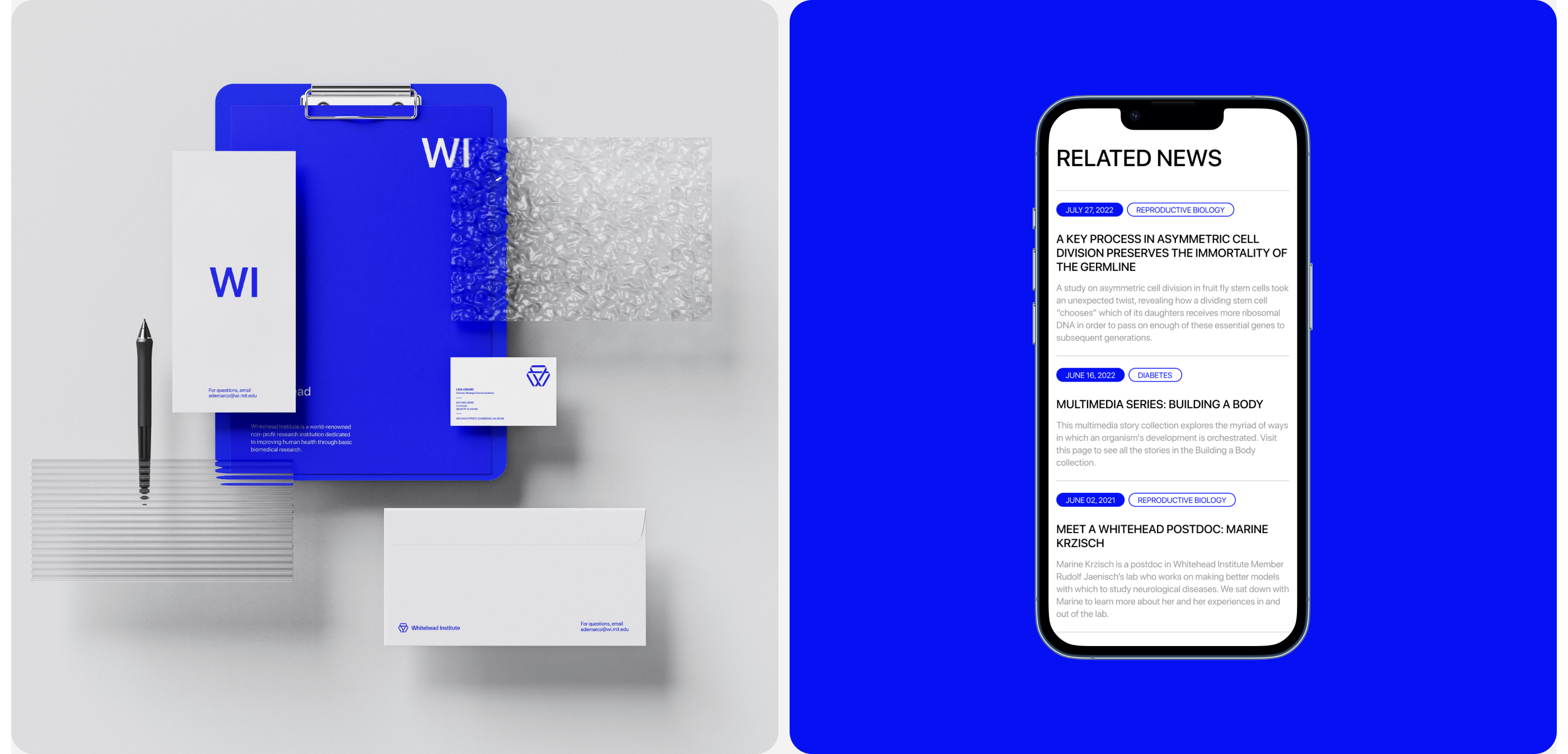 Whitehead Institute— redesign corporate site on Behance — Изображение №5 — Интерфейсы, Брендинг на Dprofile
