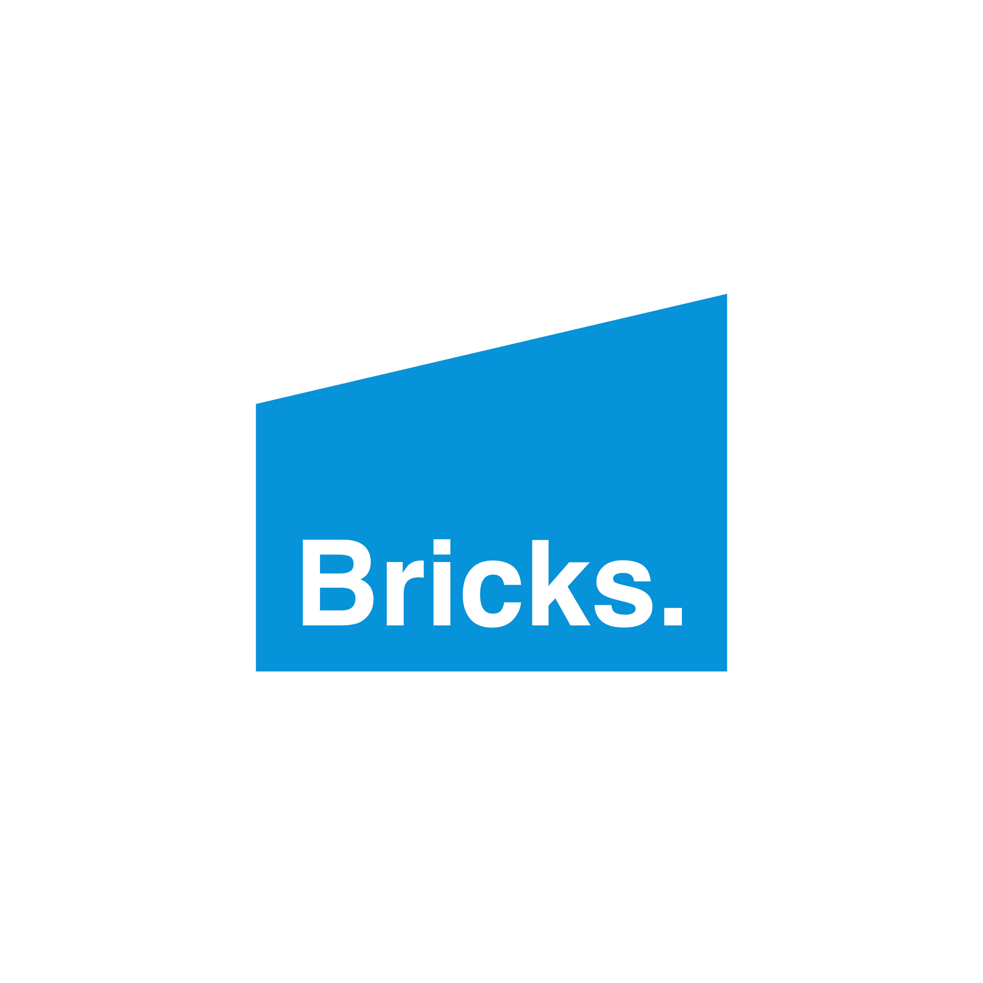 Брикс / Bricks | Concept — Изображение №5 — Брендинг на Dprofile