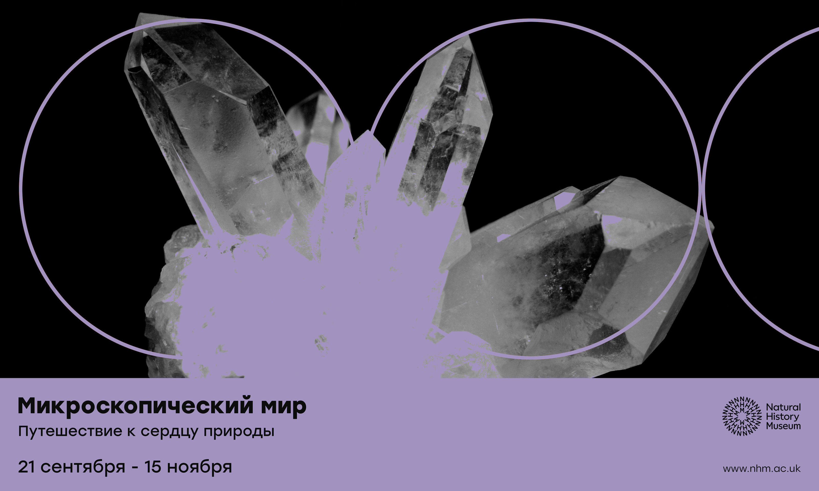 Музей Естественной Истории / Natural History Museum — Изображение №10 — Графика, Маркетинг на Dprofile
