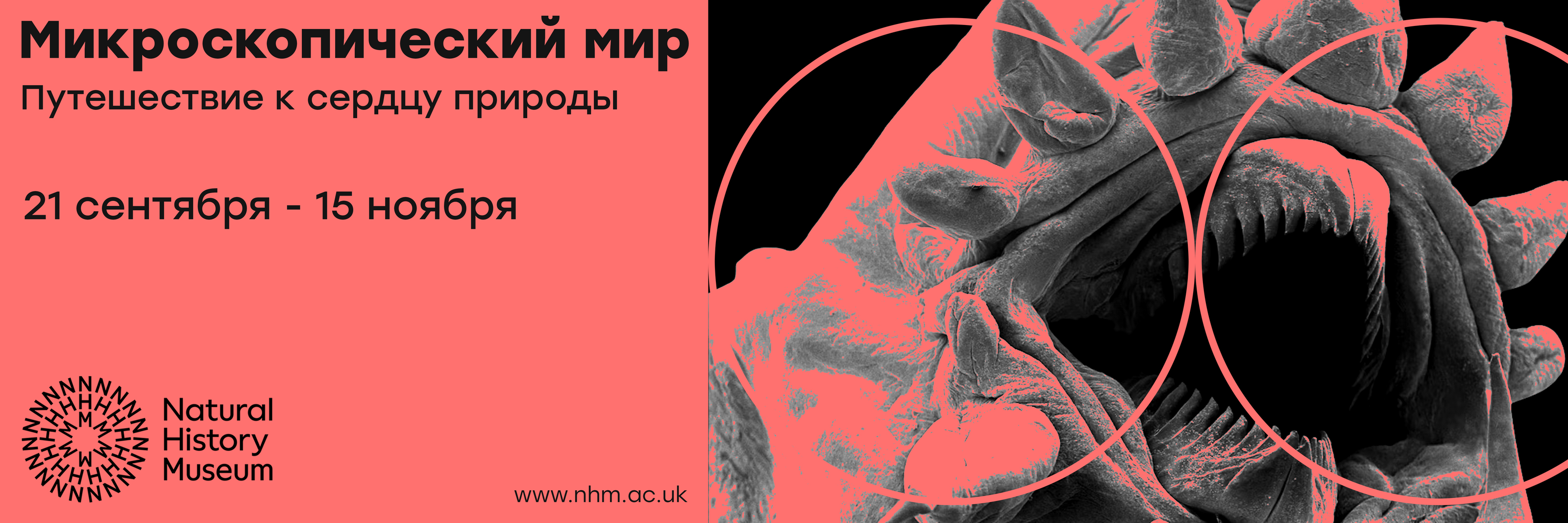 Музей Естественной Истории / Natural History Museum — Изображение №2 — Графика, Маркетинг на Dprofile