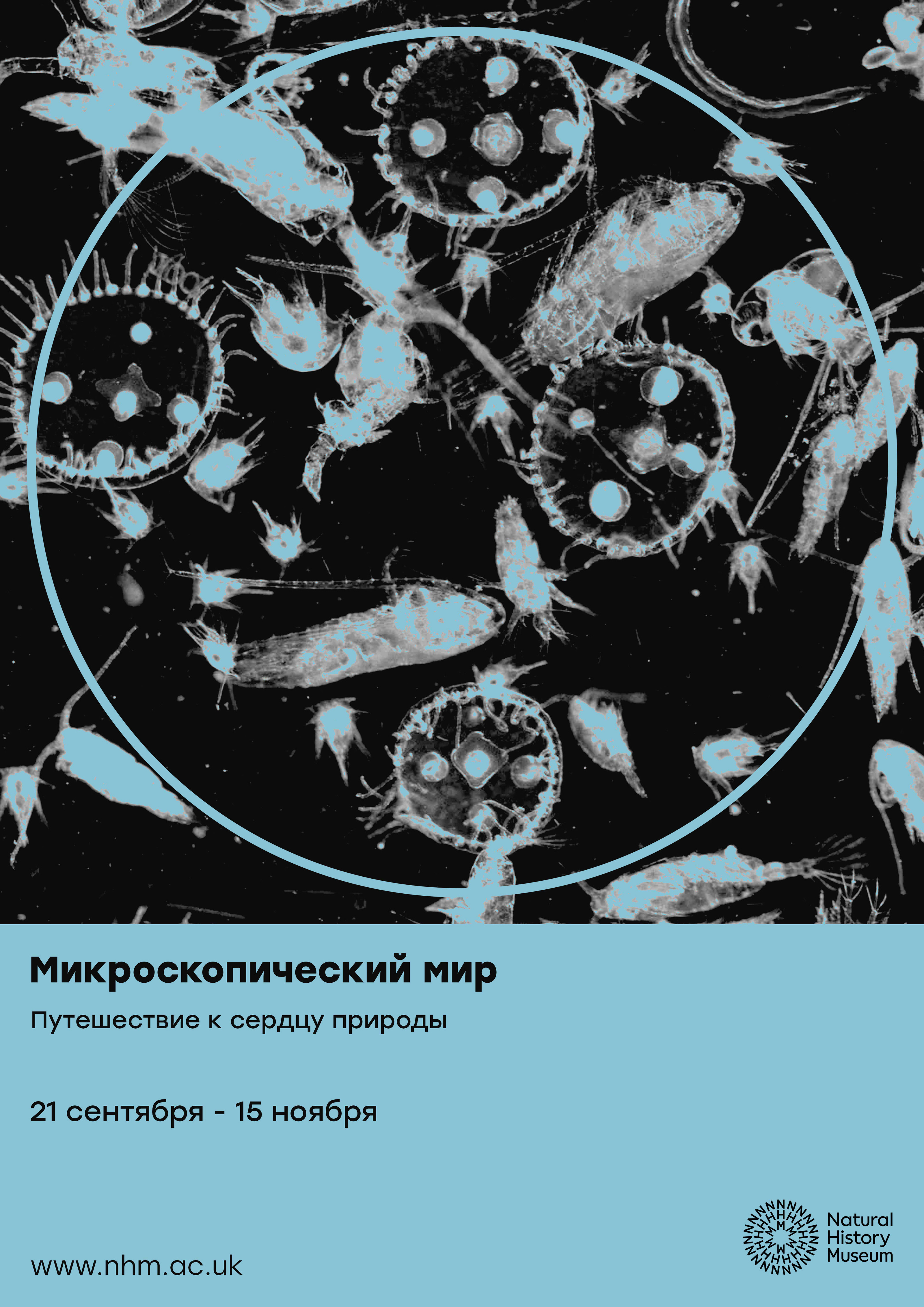 Музей Естественной Истории / Natural History Museum — Изображение №4 — Графика, Маркетинг на Dprofile